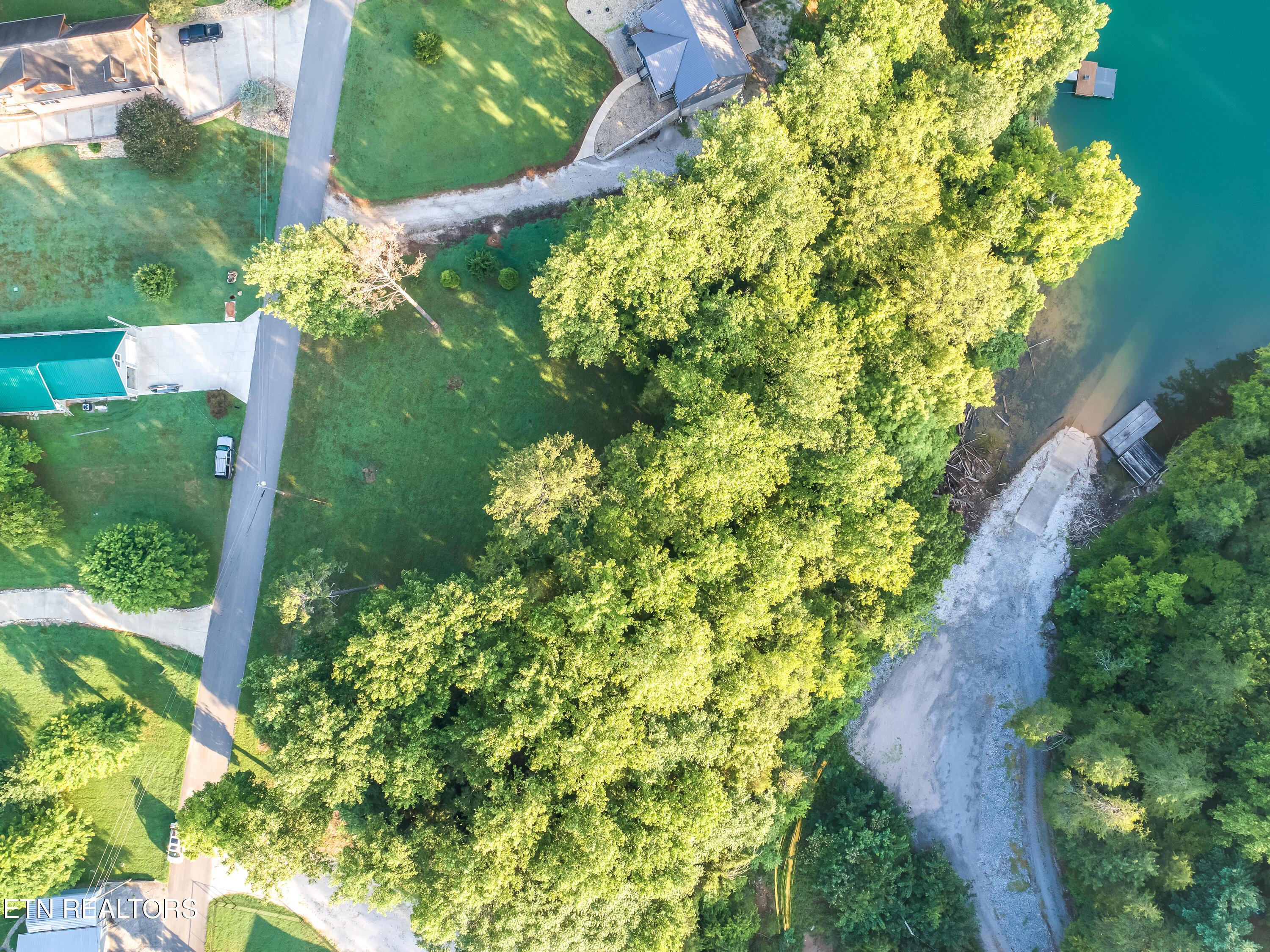 Norris Lake Real Estate - Image# 4