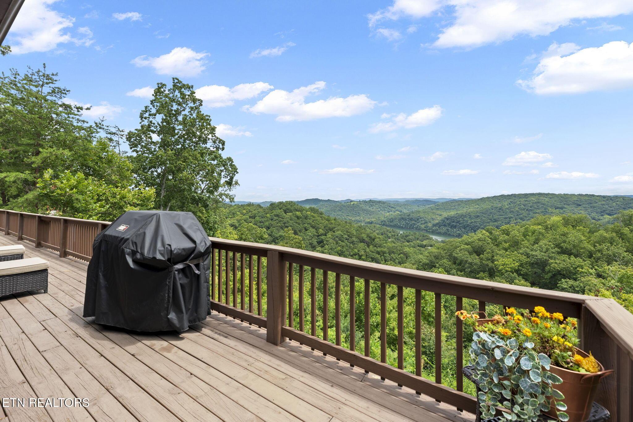 201 Wildcat Hallow Rd, New Tazewell, TN - Norris Lake Real Estate - Image# 37