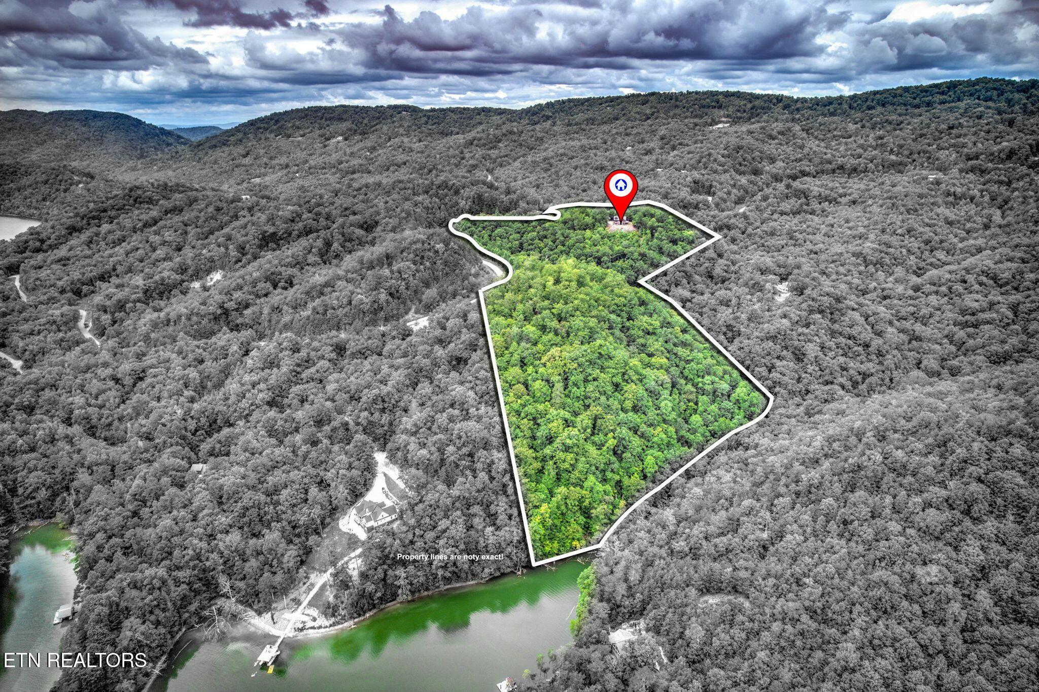 201 Wildcat Hallow Rd, New Tazewell, TN - Norris Lake Real Estate - Image# 50