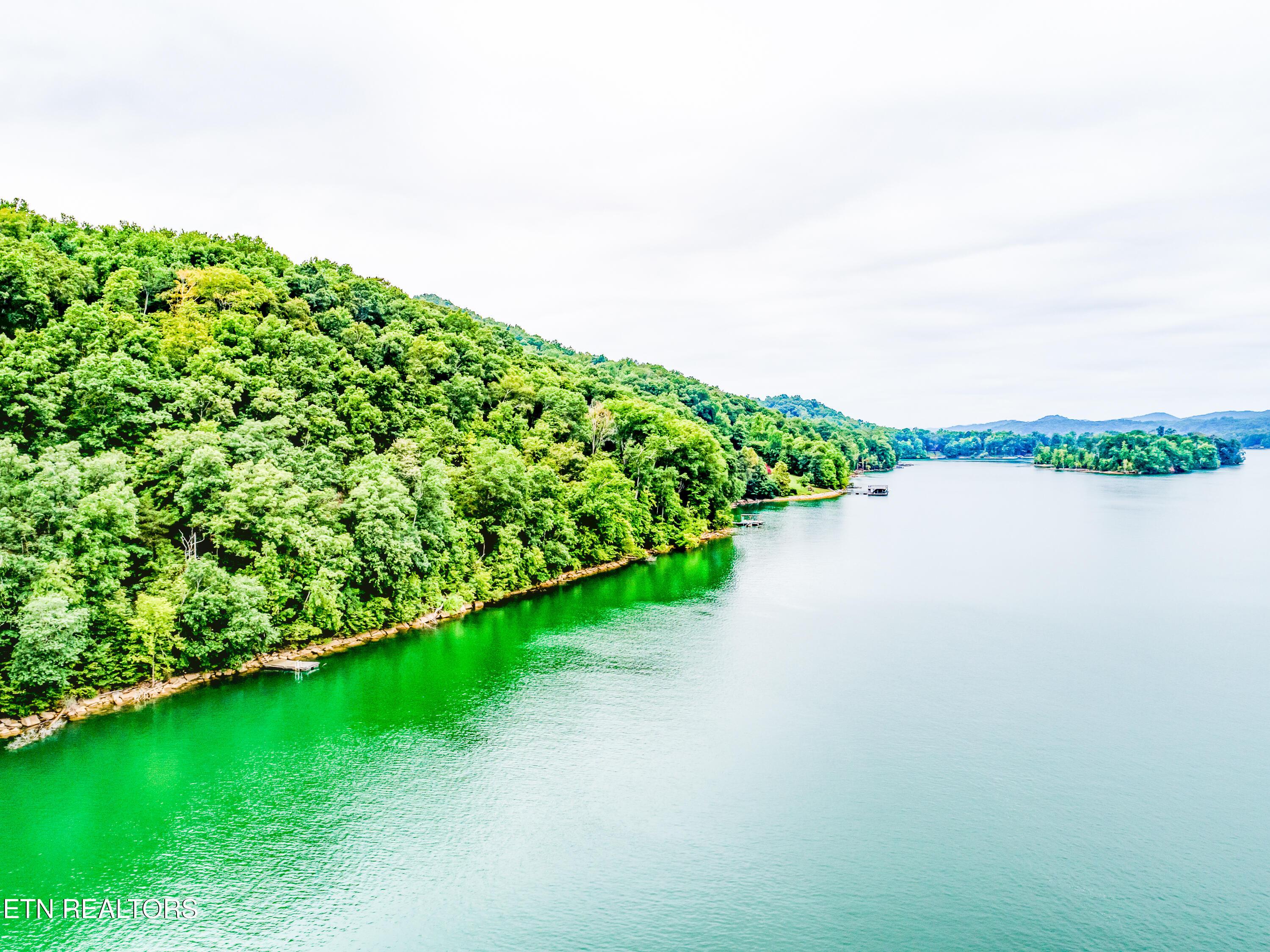 Lot 17 Tumbling Run Rd, Maynardville, TN - Norris Lake Real Estate - Image# 8