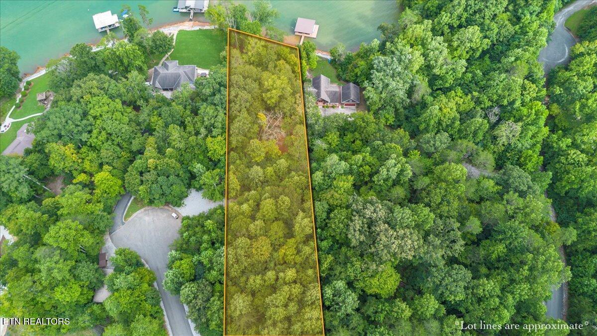 Lot 3 Norris Bend Lane, Jacksboro, TN - Norris Lake Real Estate - Image# 2