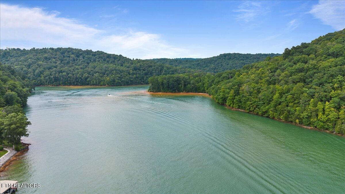 Lot 3 Norris Bend Lane, Jacksboro, TN - Norris Lake Real Estate - Image# 15