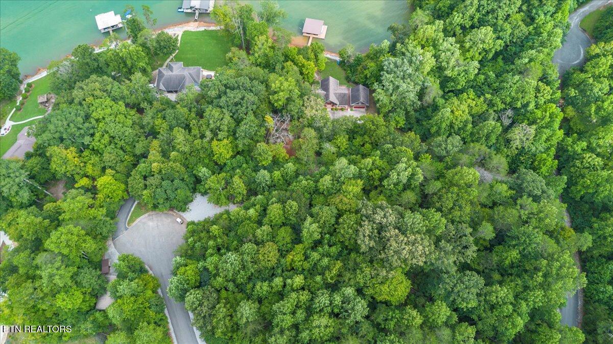 Lot 3 Norris Bend Lane, Jacksboro, TN - Norris Lake Real Estate - Image# 14