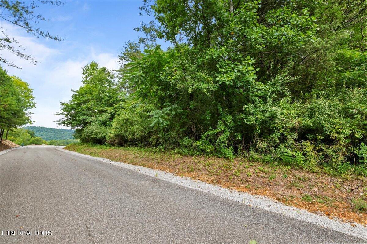 Lot 3 Norris Bend Lane, Jacksboro, TN - Norris Lake Real Estate - Image# 4