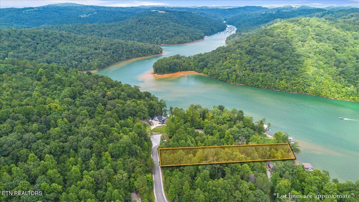 Lot 3 Norris Bend Lane, Jacksboro, TN - Norris Lake Real Estate - Image# 3