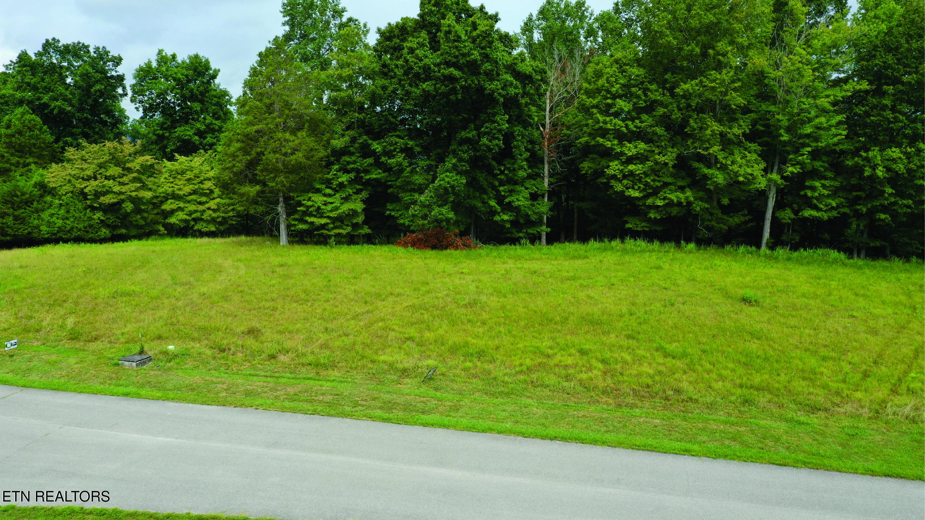 Deer Creek Path, Lafollette, TN - Norris Lake Real Estate - Image# 2