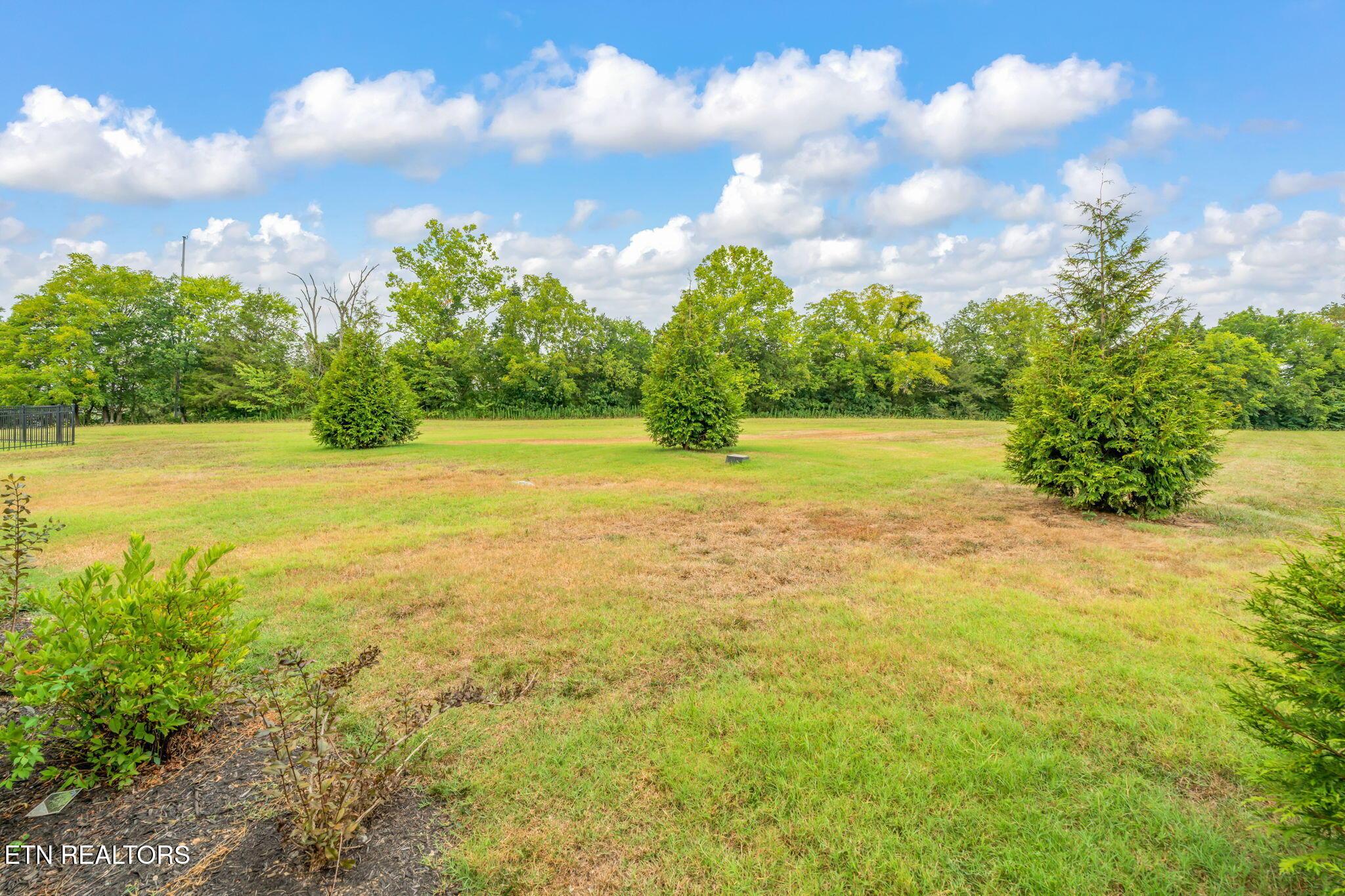 262 twilight Blvd, Sharps Chapel, TN - Norris Lake Real Estate - Image# 29