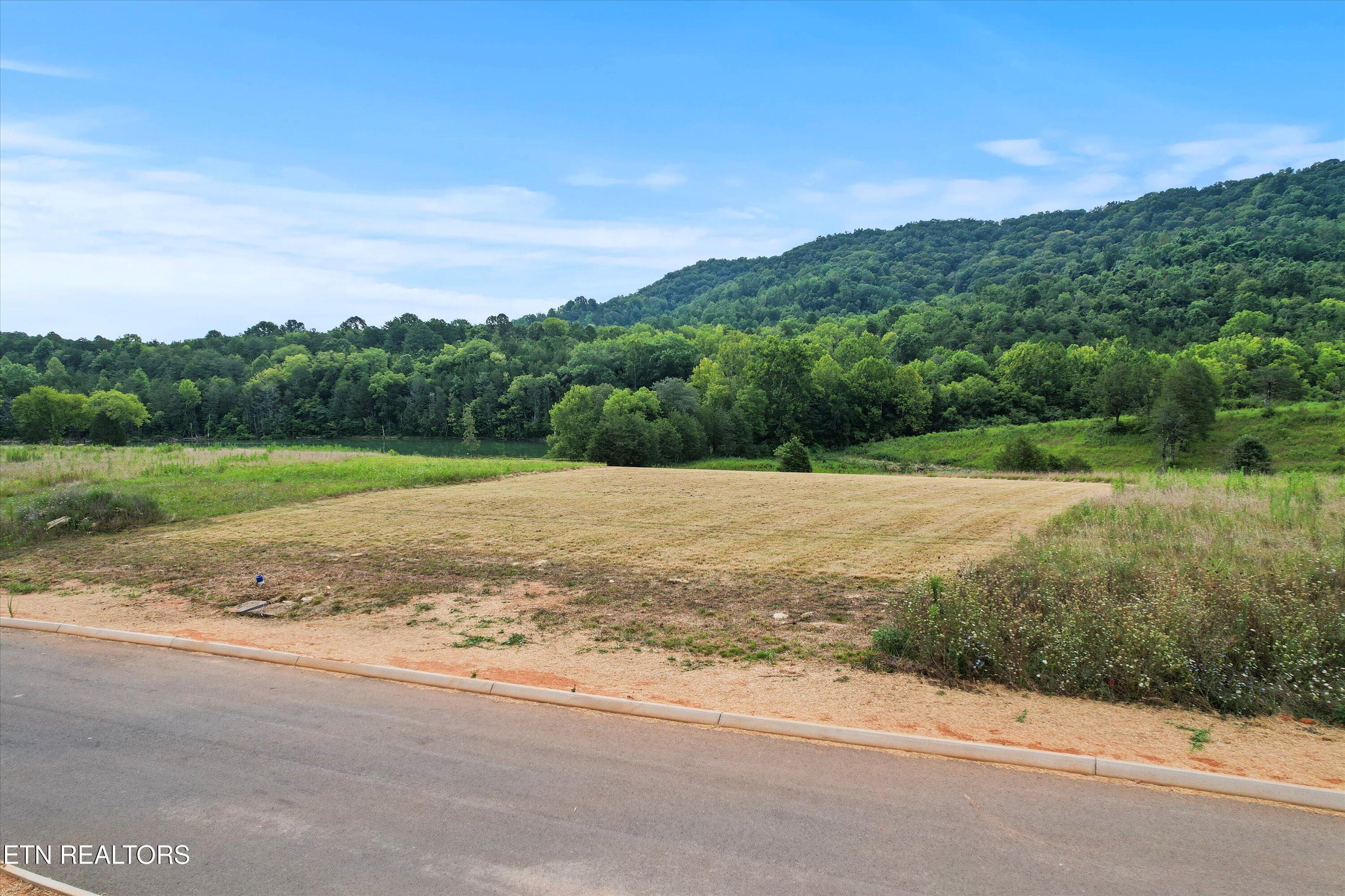 Norris Lake Real Estate - Image# 2