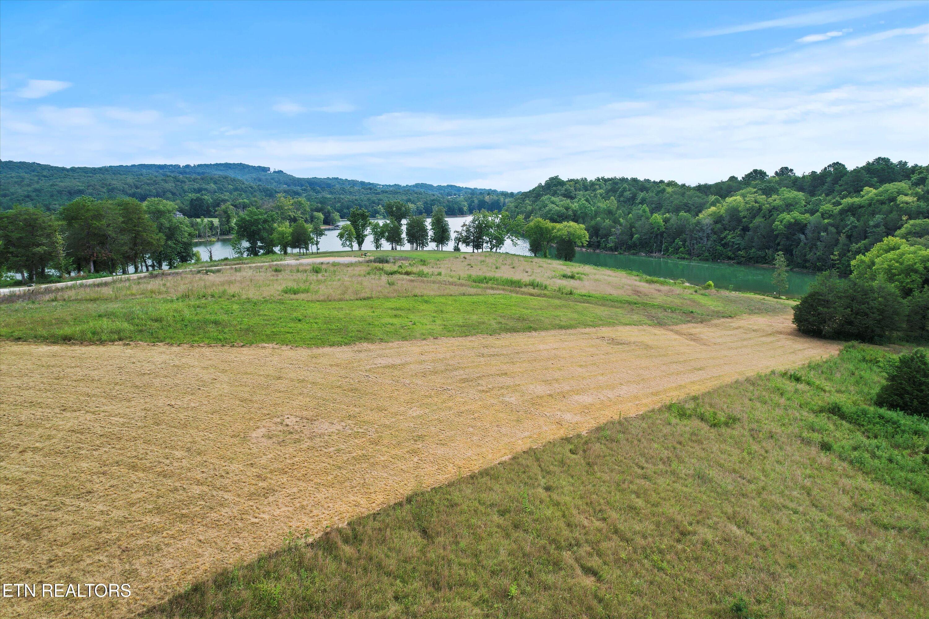 Norris Lake Real Estate - Image# 4
