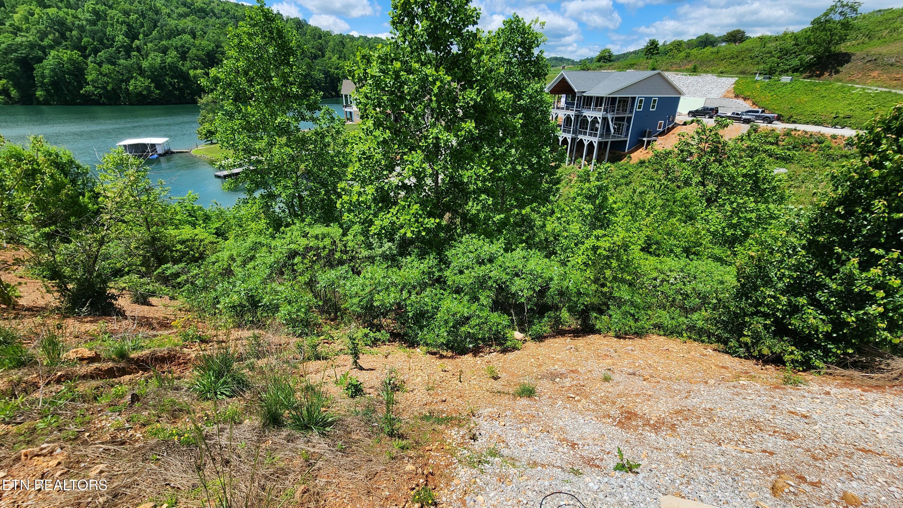 Norris Lake Real Estate - Image# 2