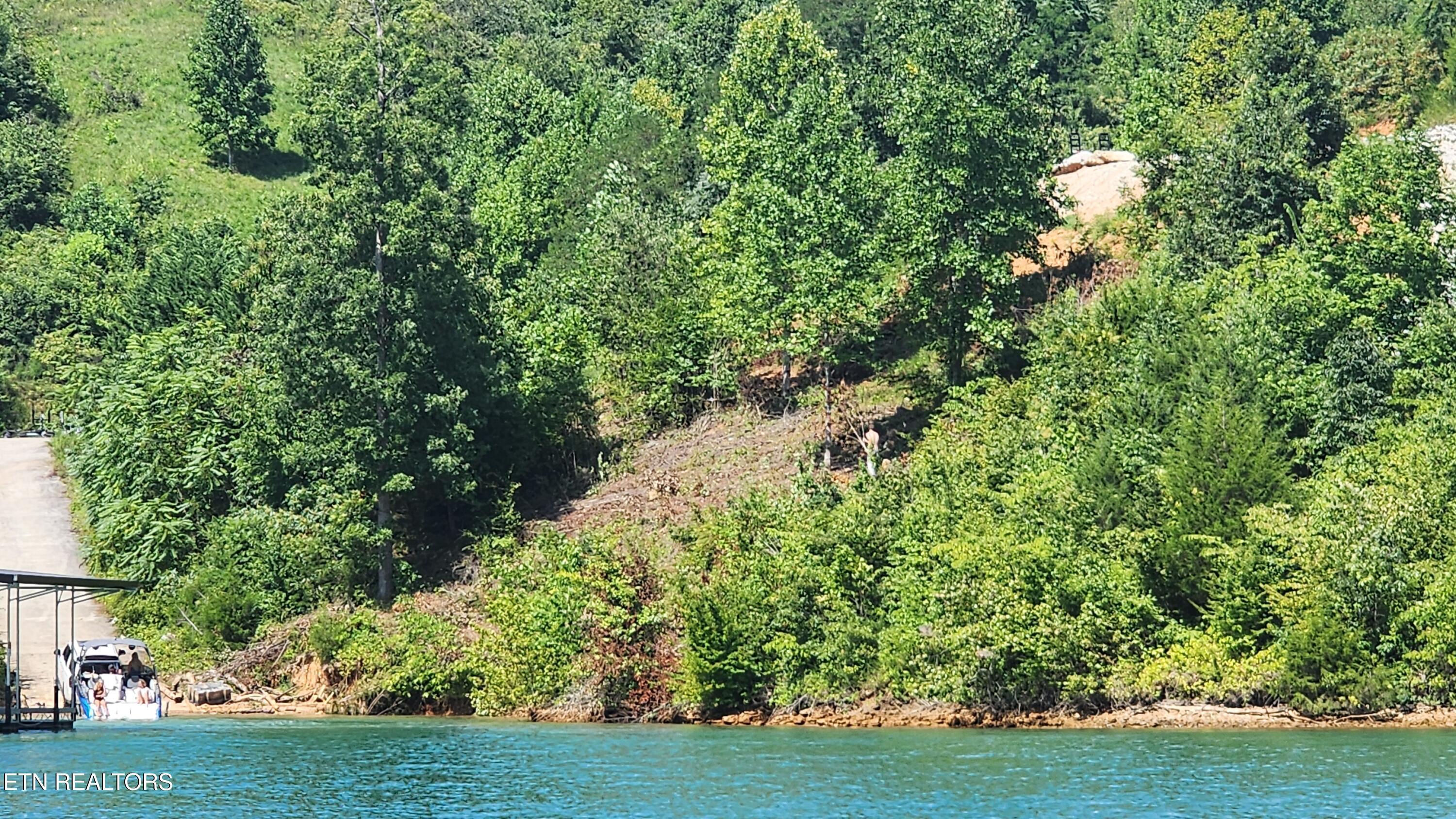 Norris Lake Real Estate - Image# 8