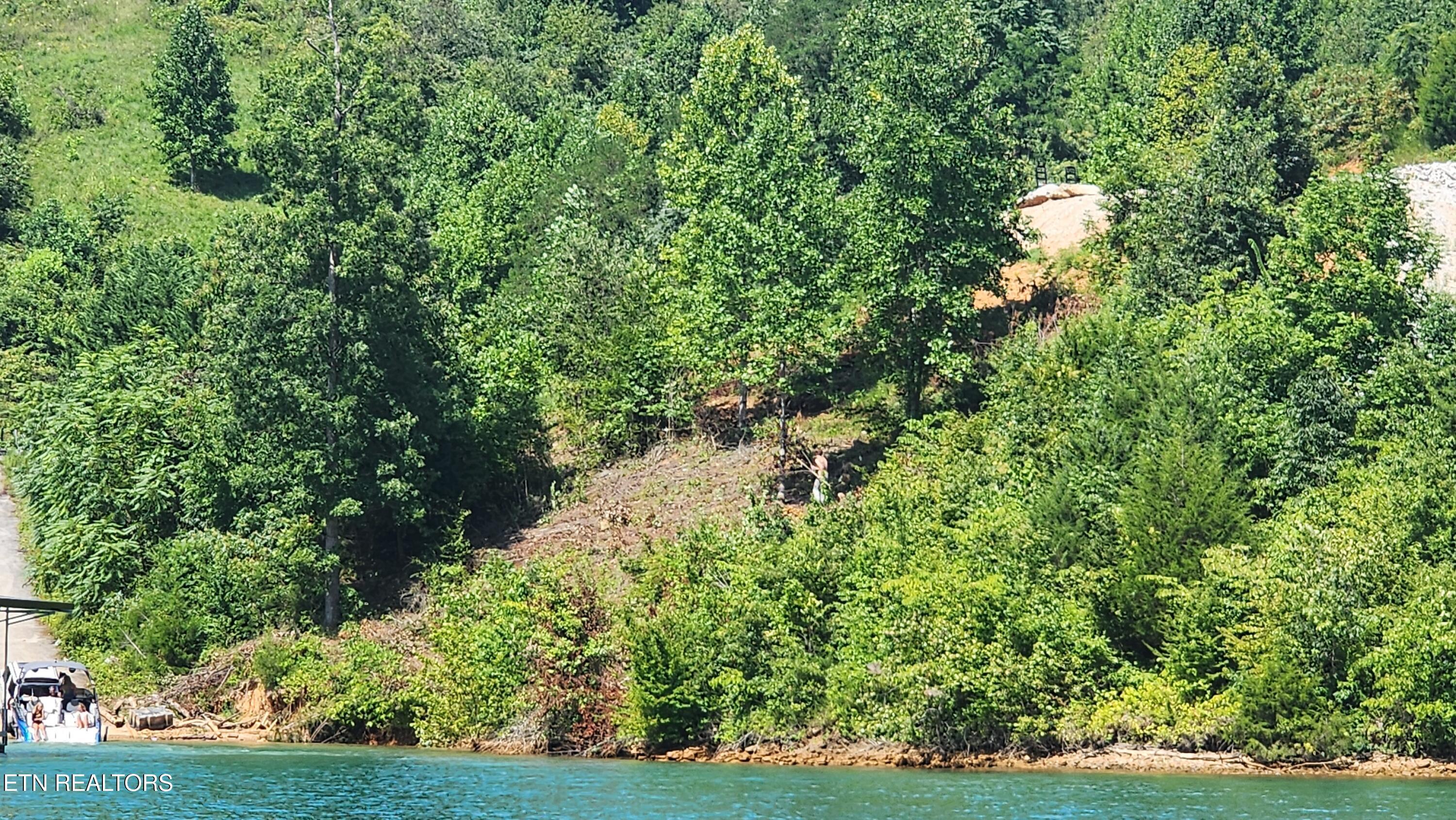 Norris Lake Real Estate - Image# 3