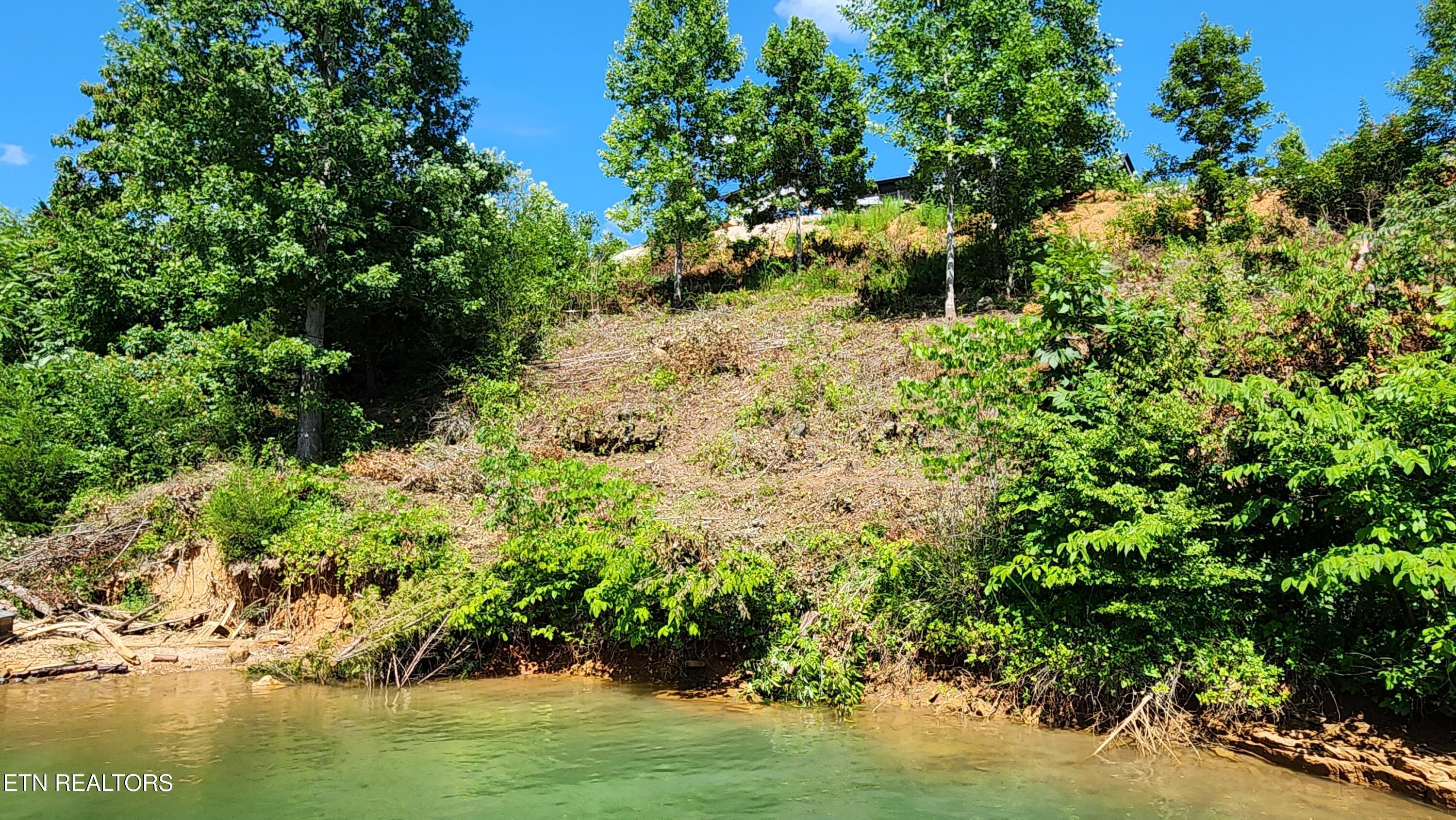 Norris Lake Real Estate - Image# 7