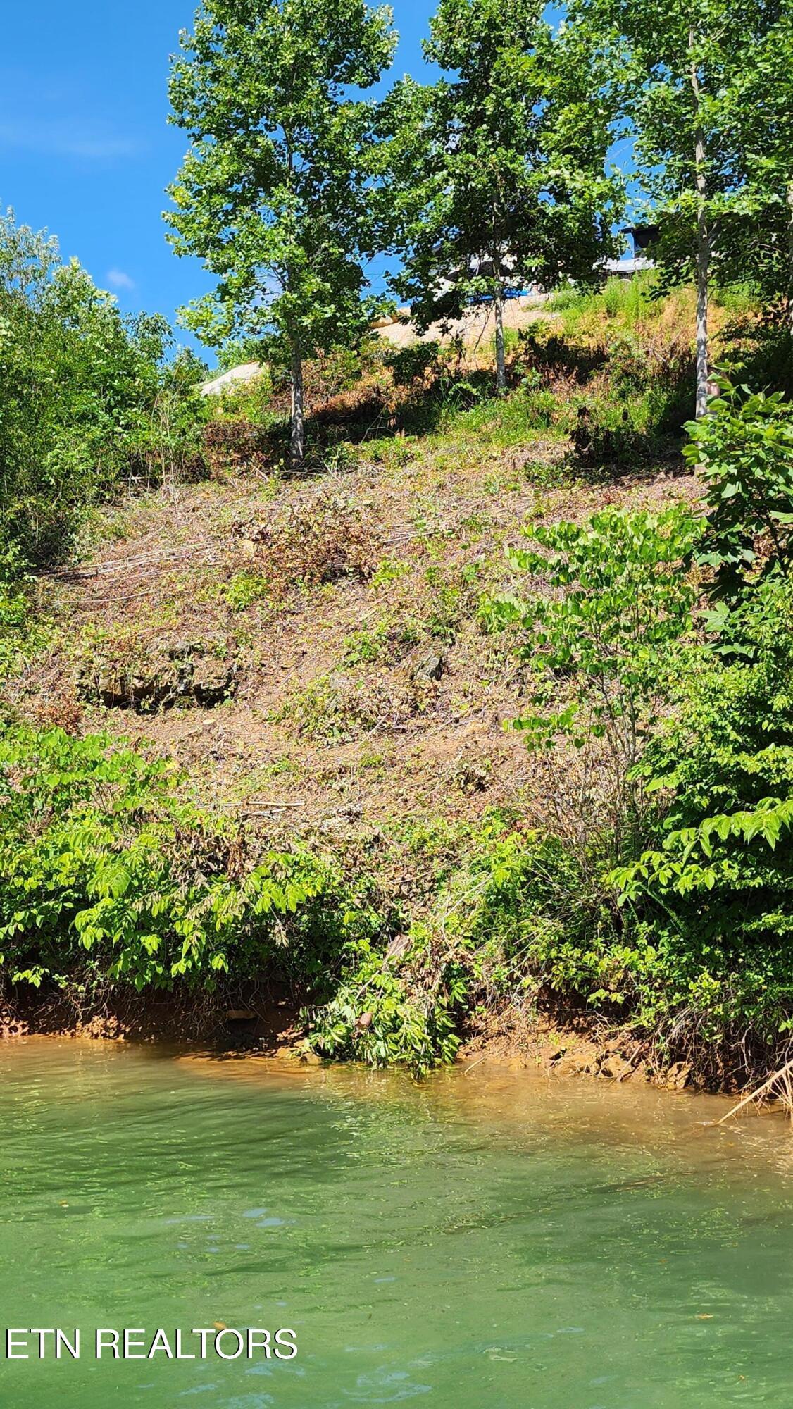 Norris Lake Real Estate - Image# 5