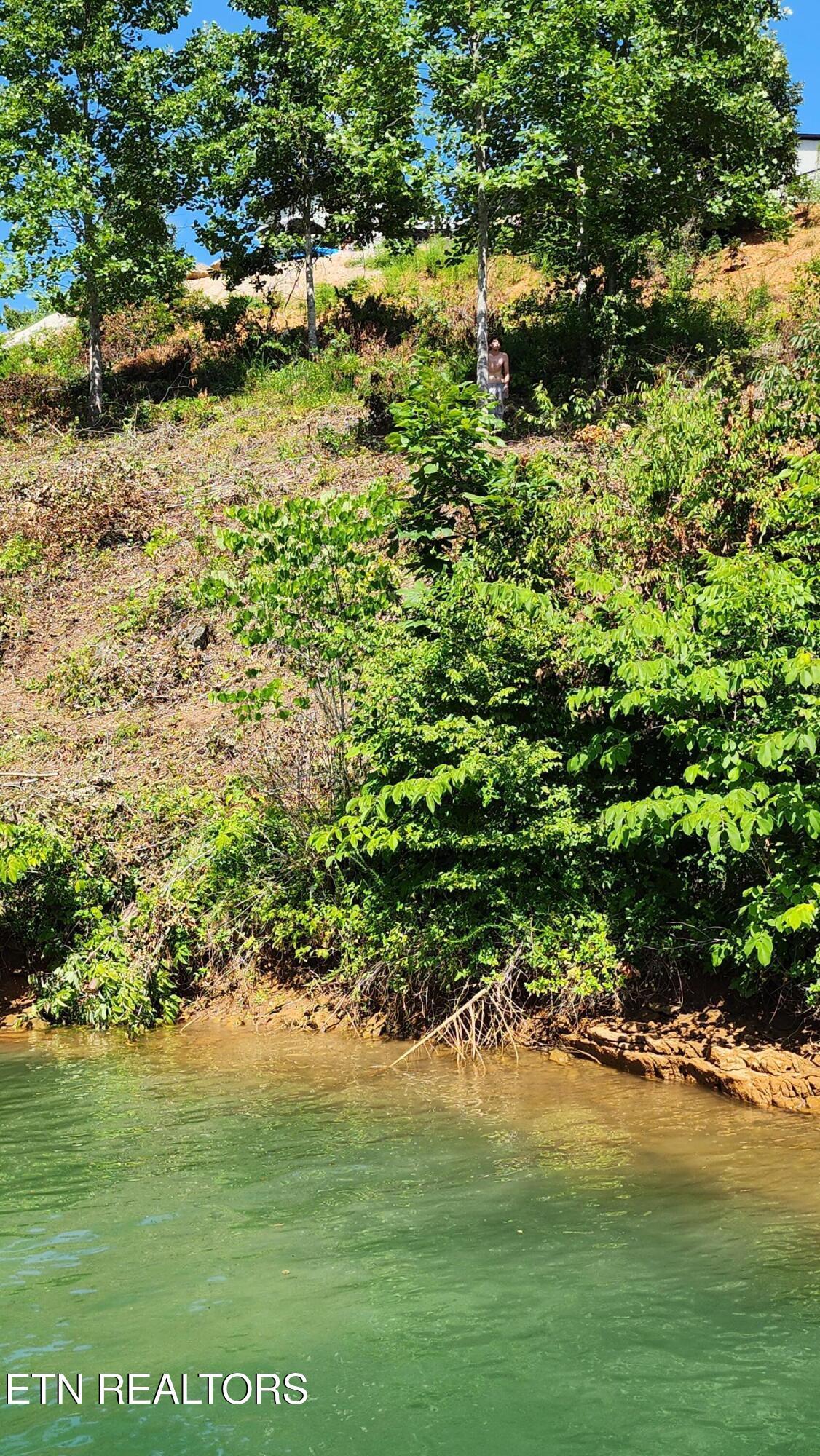 Norris Lake Real Estate - Image# 4