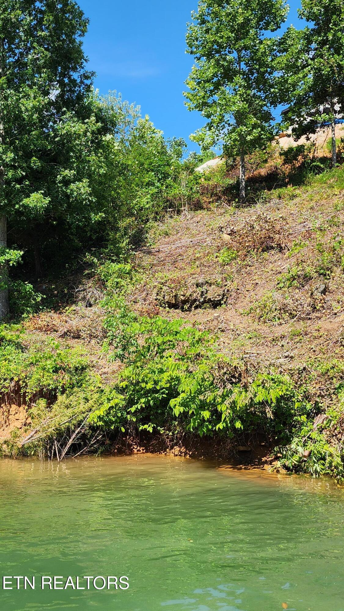 Norris Lake Real Estate - Image# 6