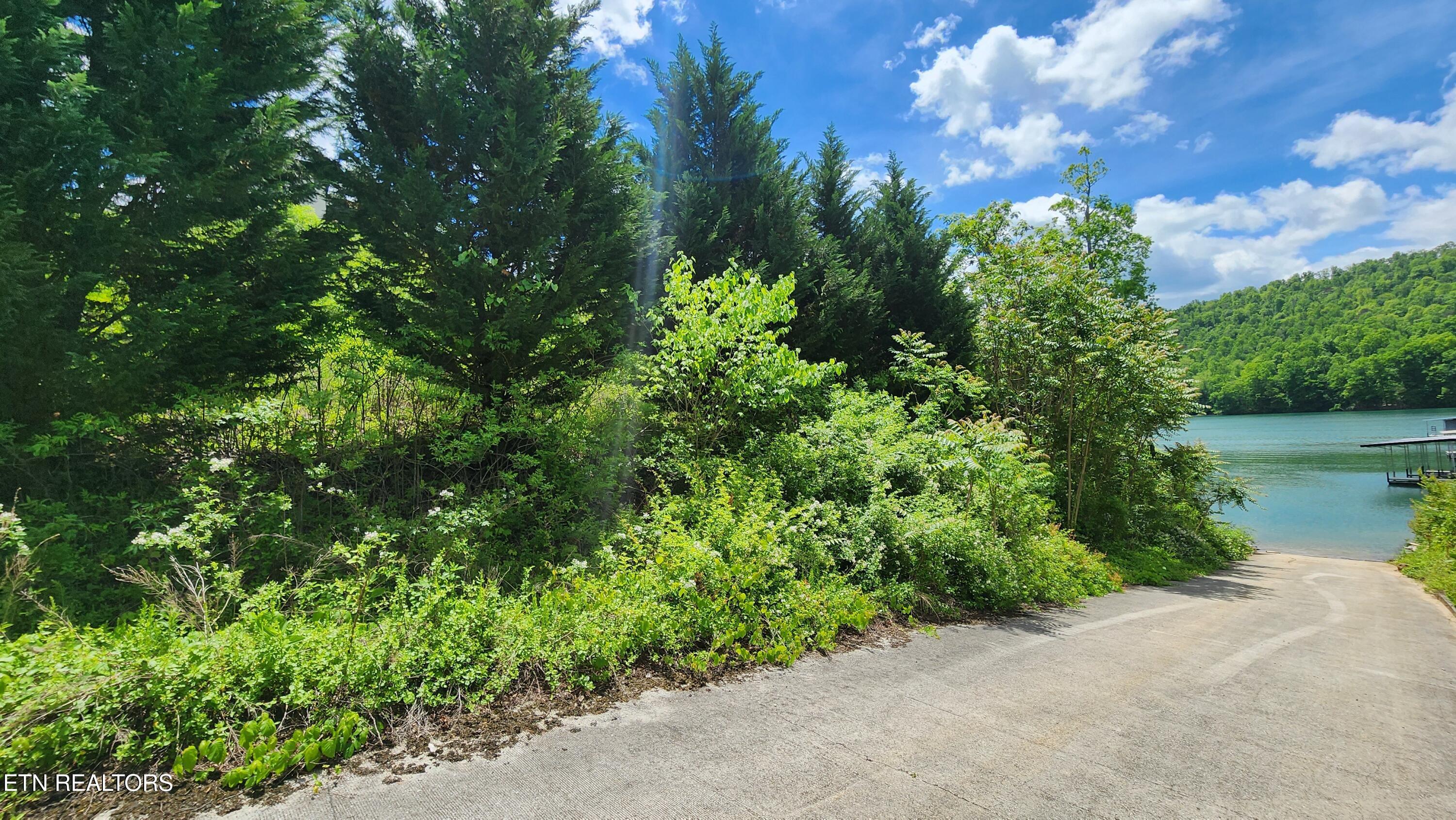 Norris Lake Real Estate - Image# 12