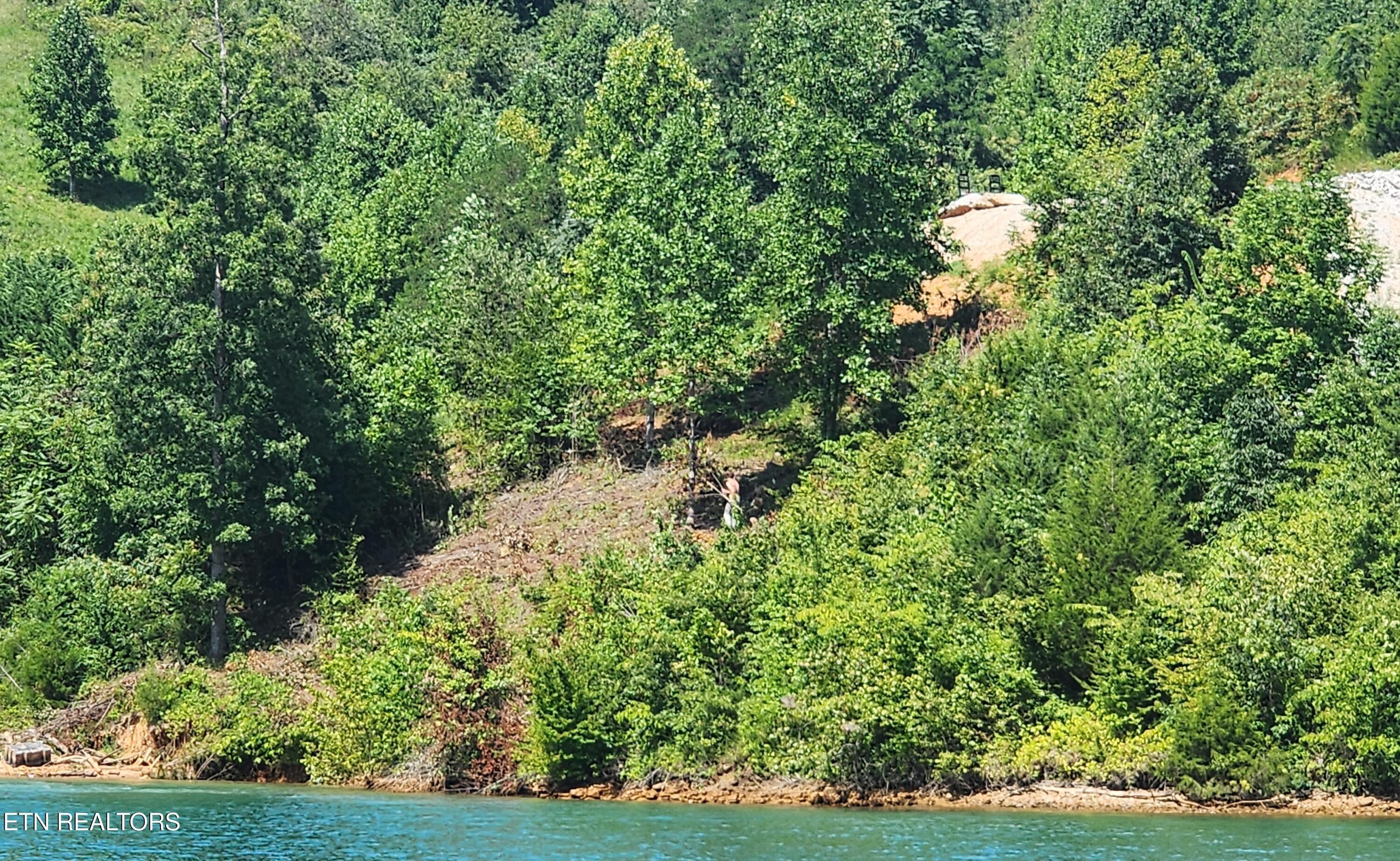 Norris Lake Real Estate - Image# 2