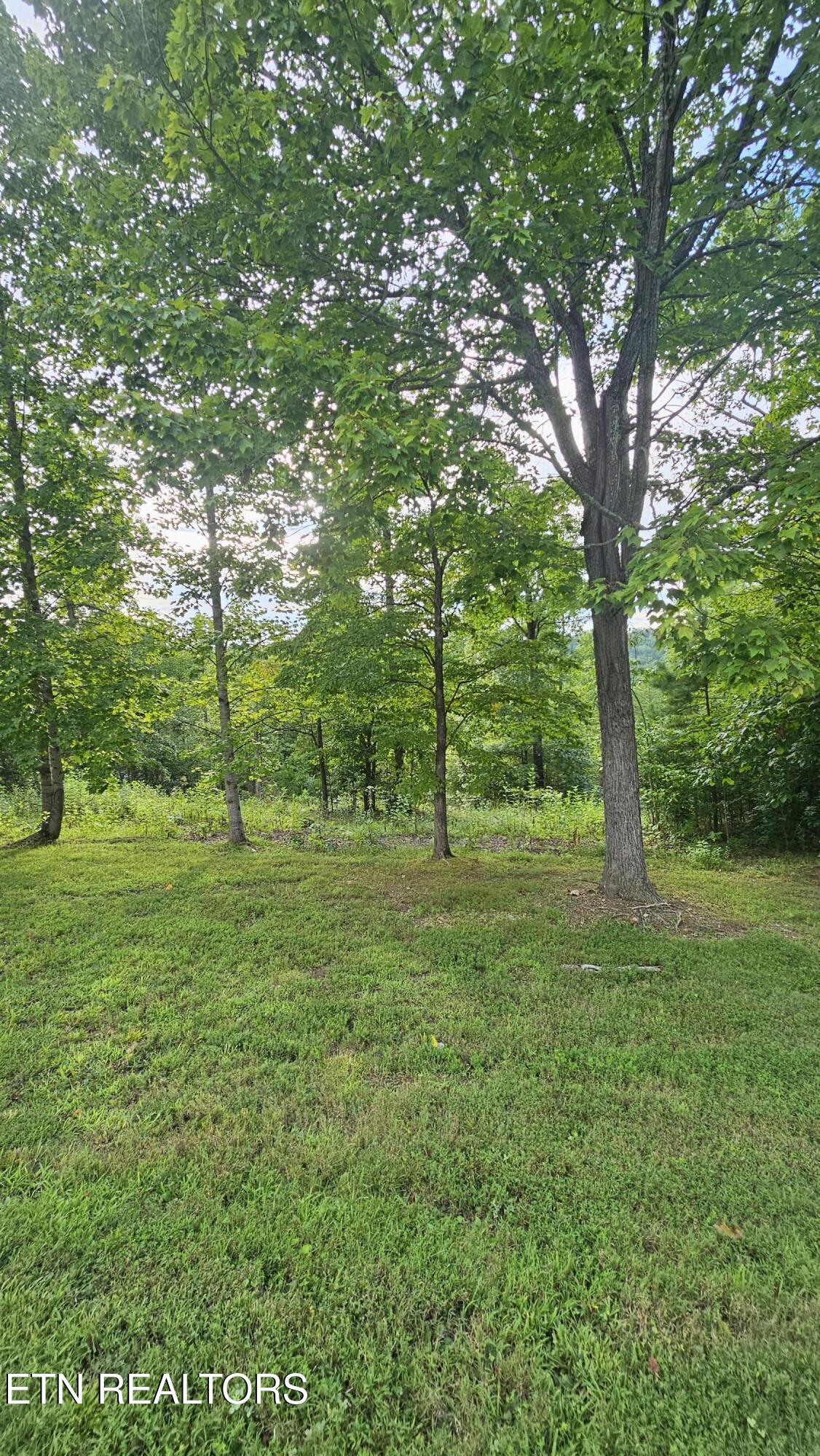 Shanghai Landing Lane, Lafollette, TN - Norris Lake Real Estate - Image# 2