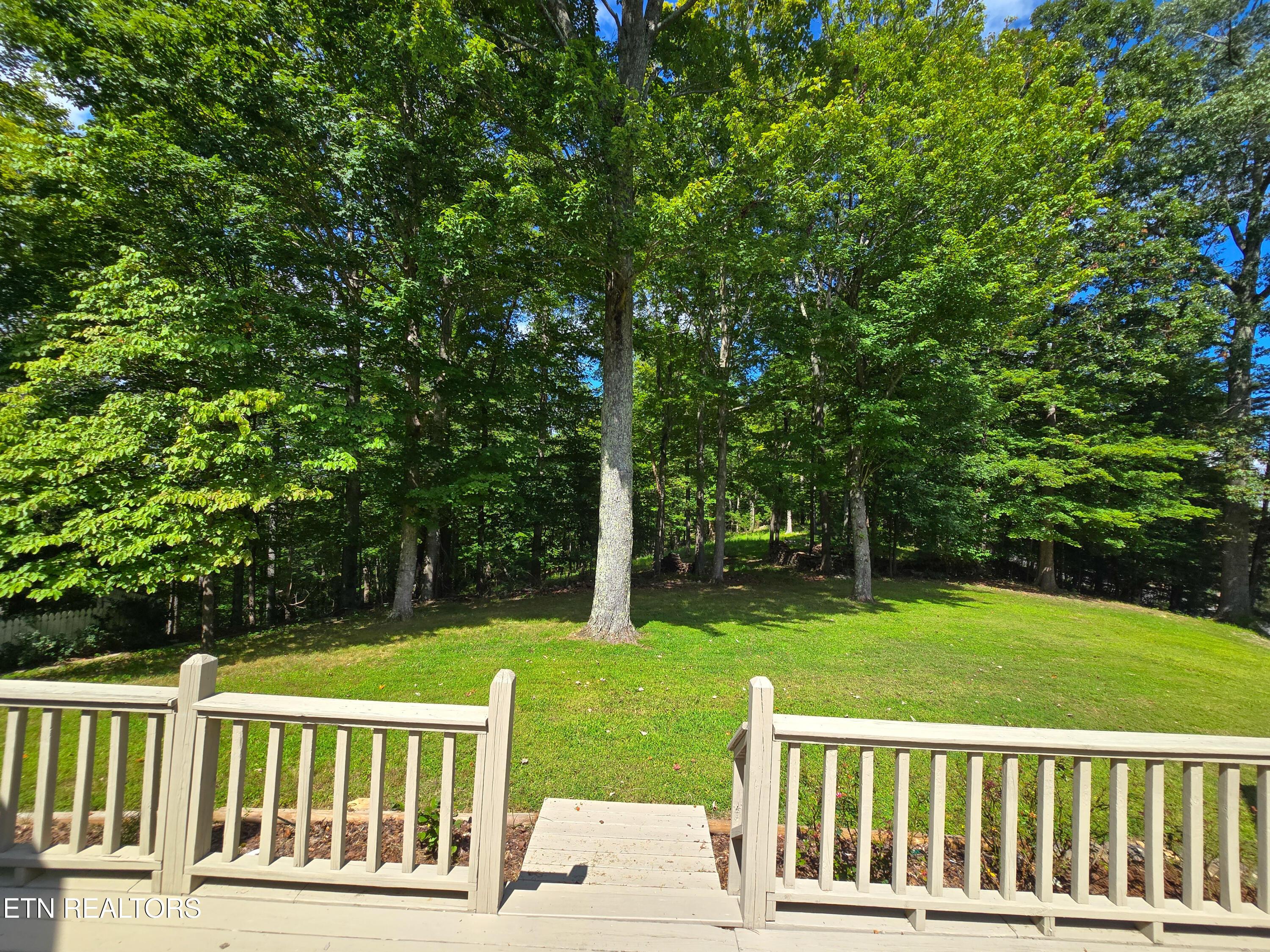 337 Fox Ridge Lane, Caryville, TN - Norris Lake Real Estate - Image# 38