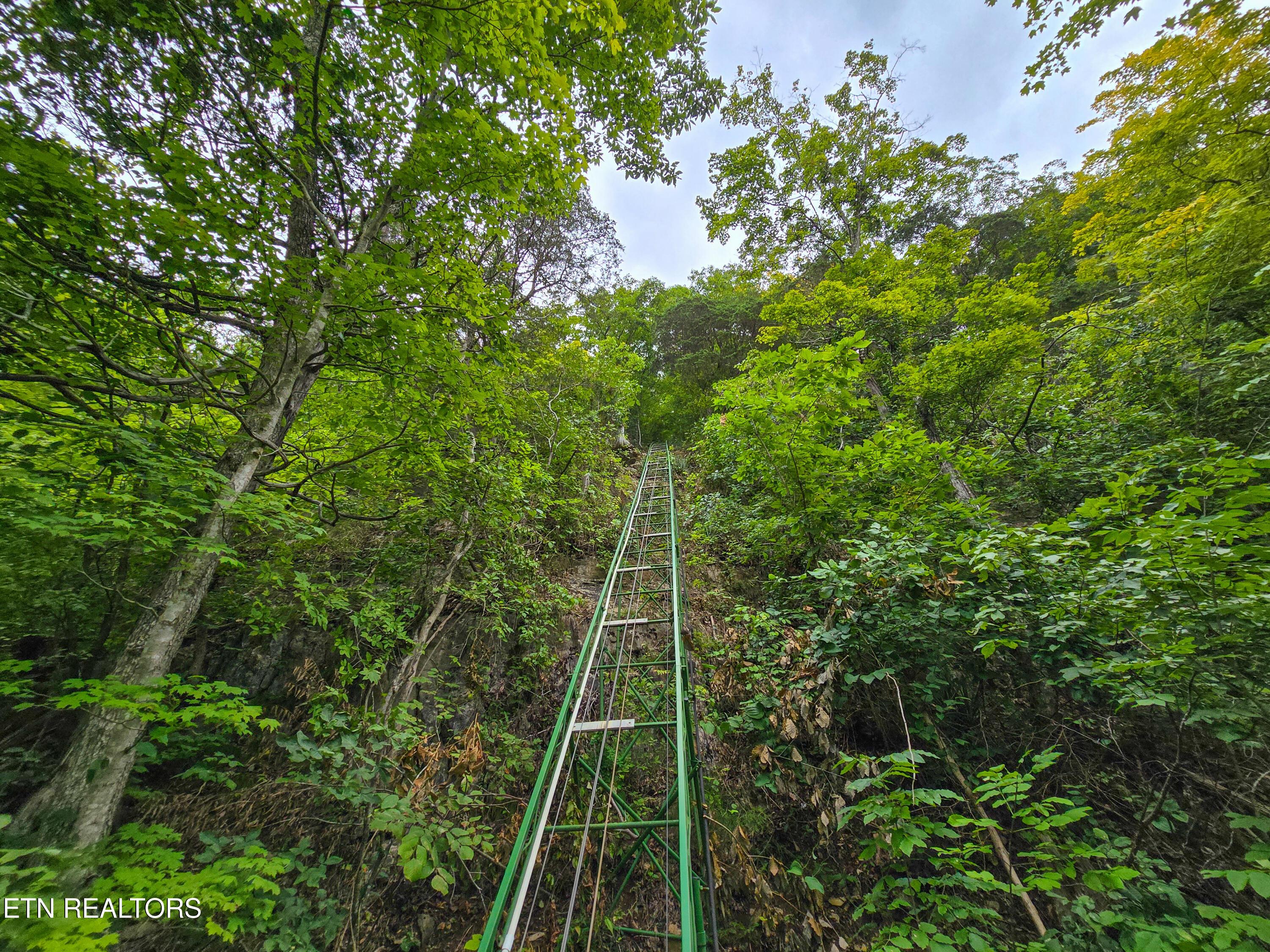 337 Fox Ridge Lane, Caryville, TN - Norris Lake Real Estate - Image# 51