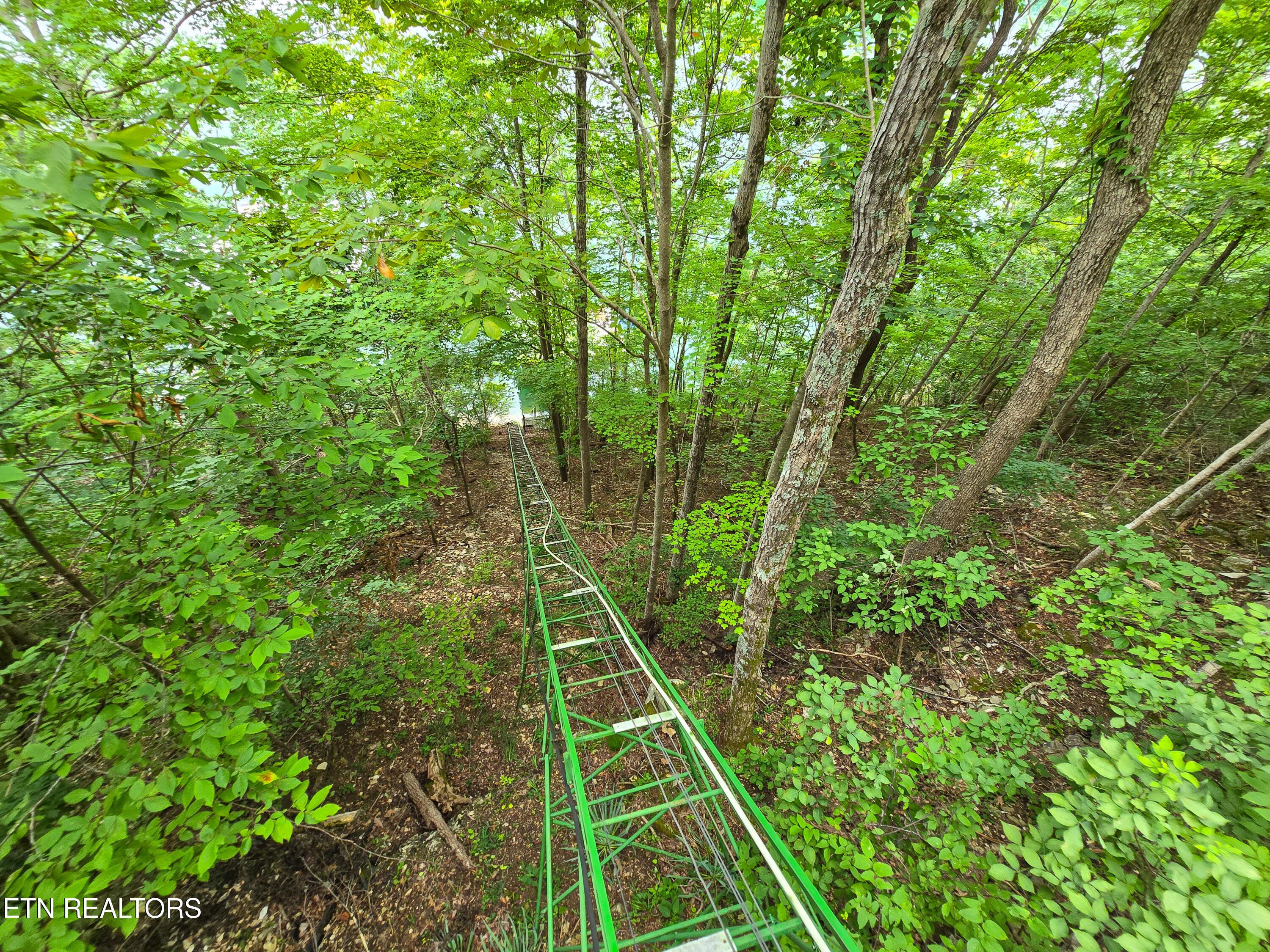 337 Fox Ridge Lane, Caryville, TN - Norris Lake Real Estate - Image# 52