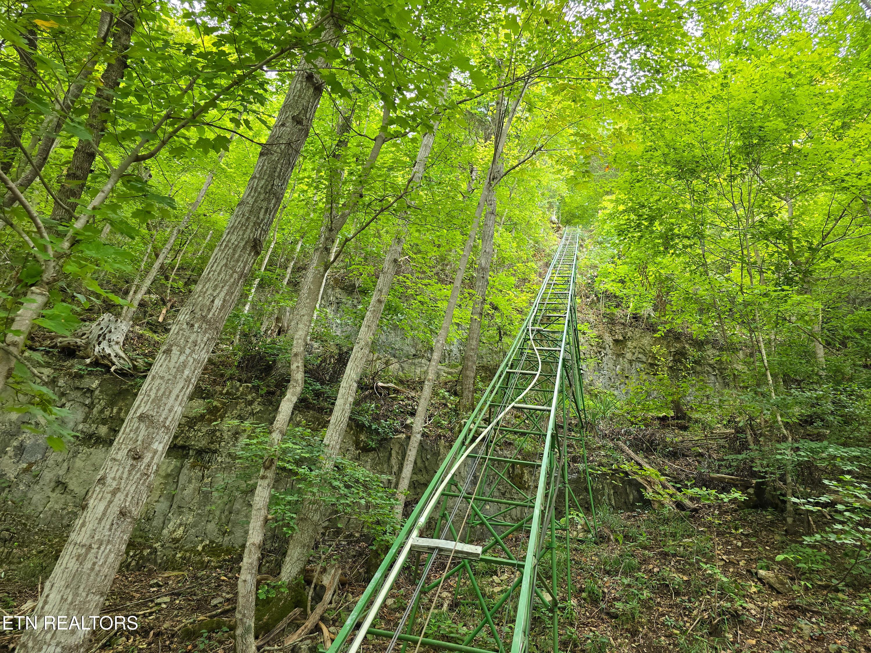 337 Fox Ridge Lane, Caryville, TN - Norris Lake Real Estate - Image# 53