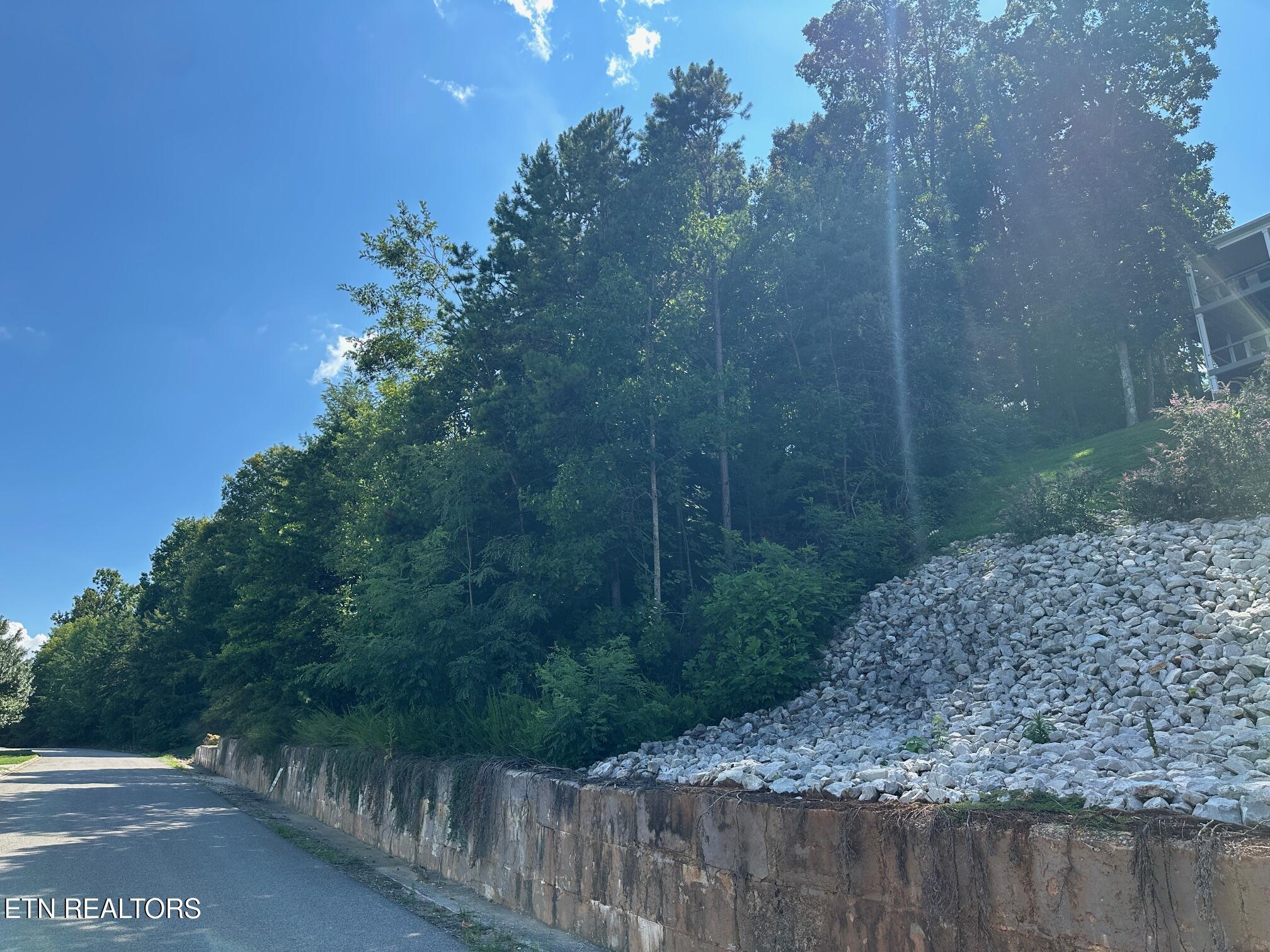 Norris Crest Drive, Lafollette, TN - Norris Lake Real Estate - Image# 4