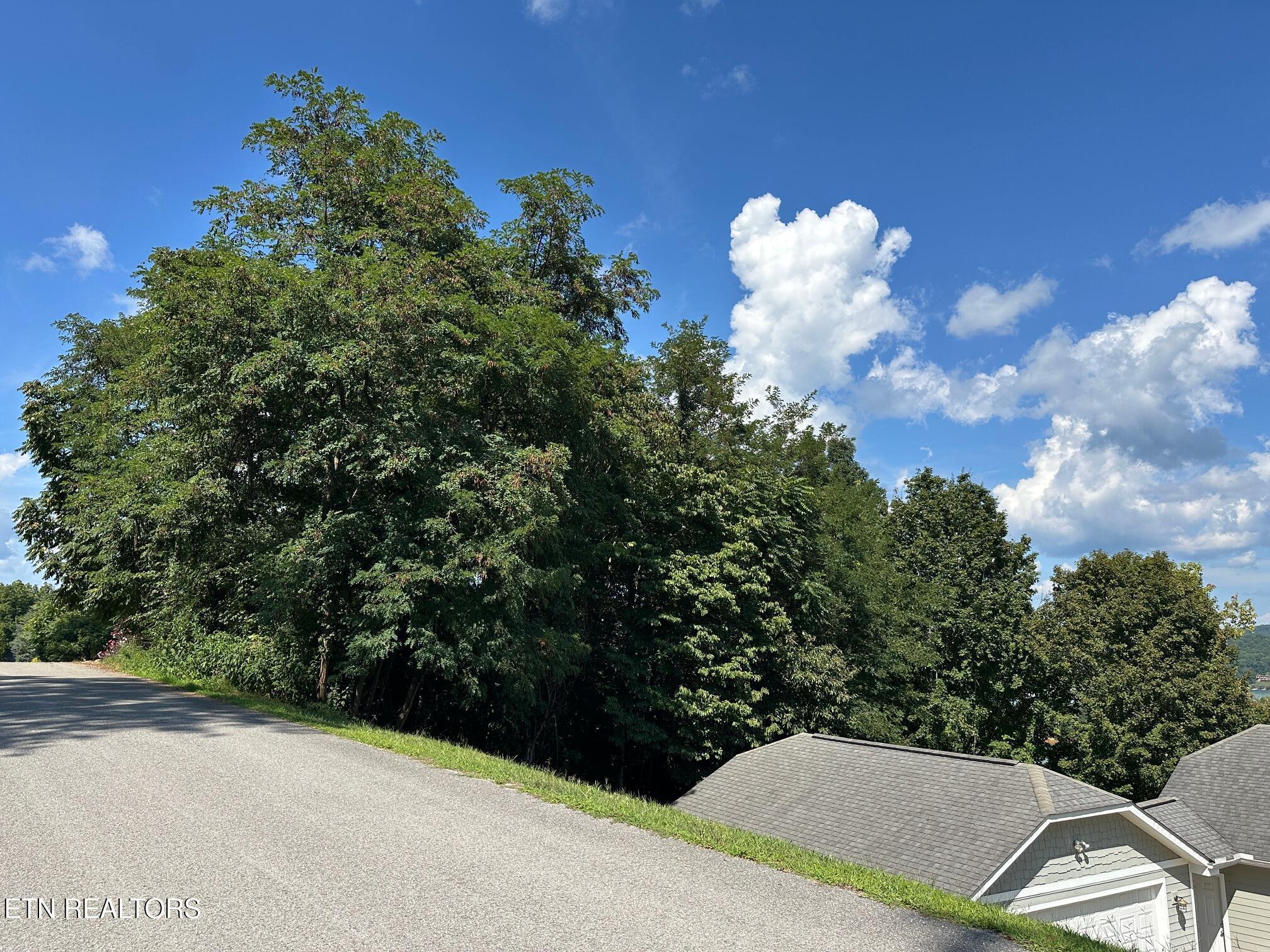 Norris Crest Drive, Lafollette, TN - Norris Lake Real Estate - Image# 5