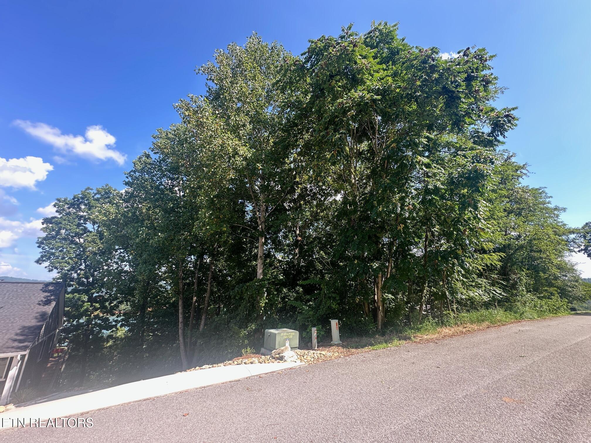 Norris Crest Drive, Lafollette, TN - Norris Lake Real Estate - Image# 6