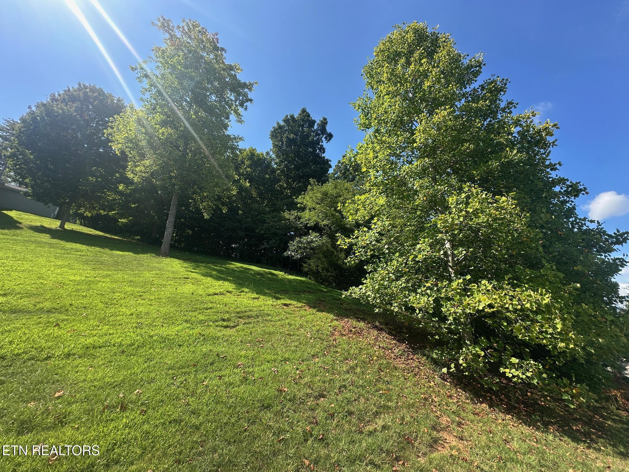 Norris Crest Drive, Lafollette, TN - Norris Lake Real Estate - Image# 8