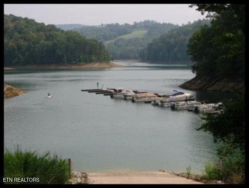 26 lot Rockfish Point, New Tazewell, TN - Norris Lake Real Estate - Image# 9