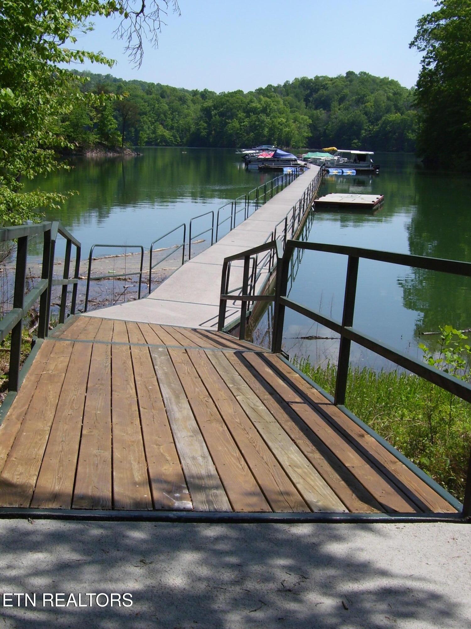 26 lot Rockfish Point, New Tazewell, TN - Norris Lake Real Estate - Image# 10