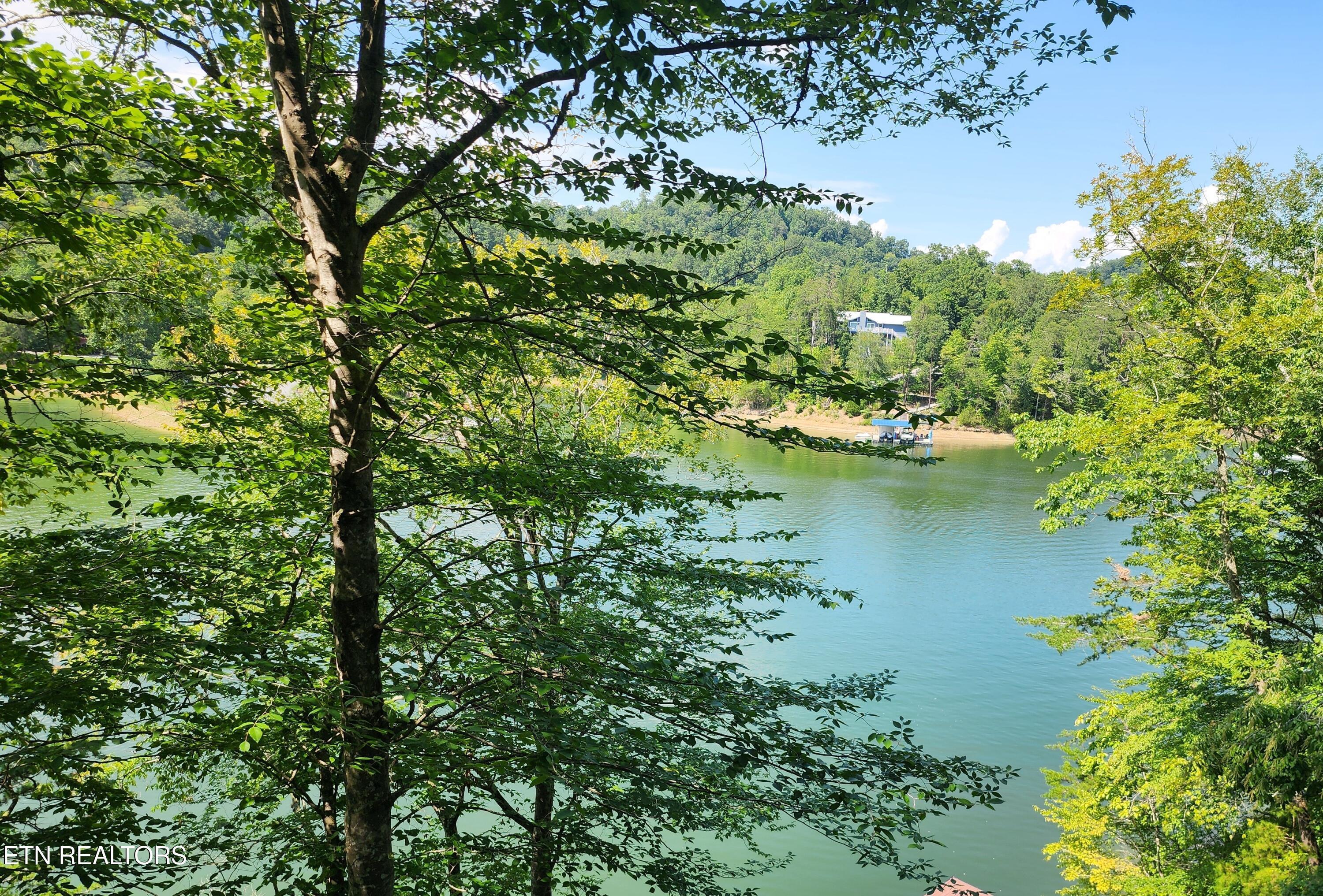 26 lot Rockfish Point, New Tazewell, TN - Norris Lake Real Estate - Image# 2
