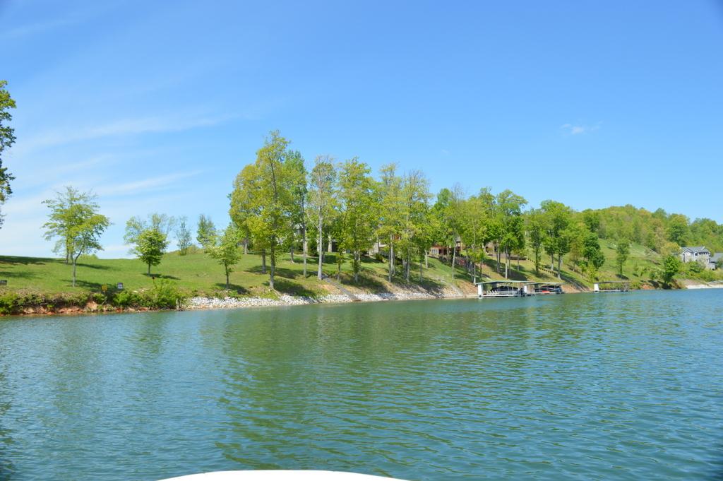 Norris Lake Real Estate - Image# 3