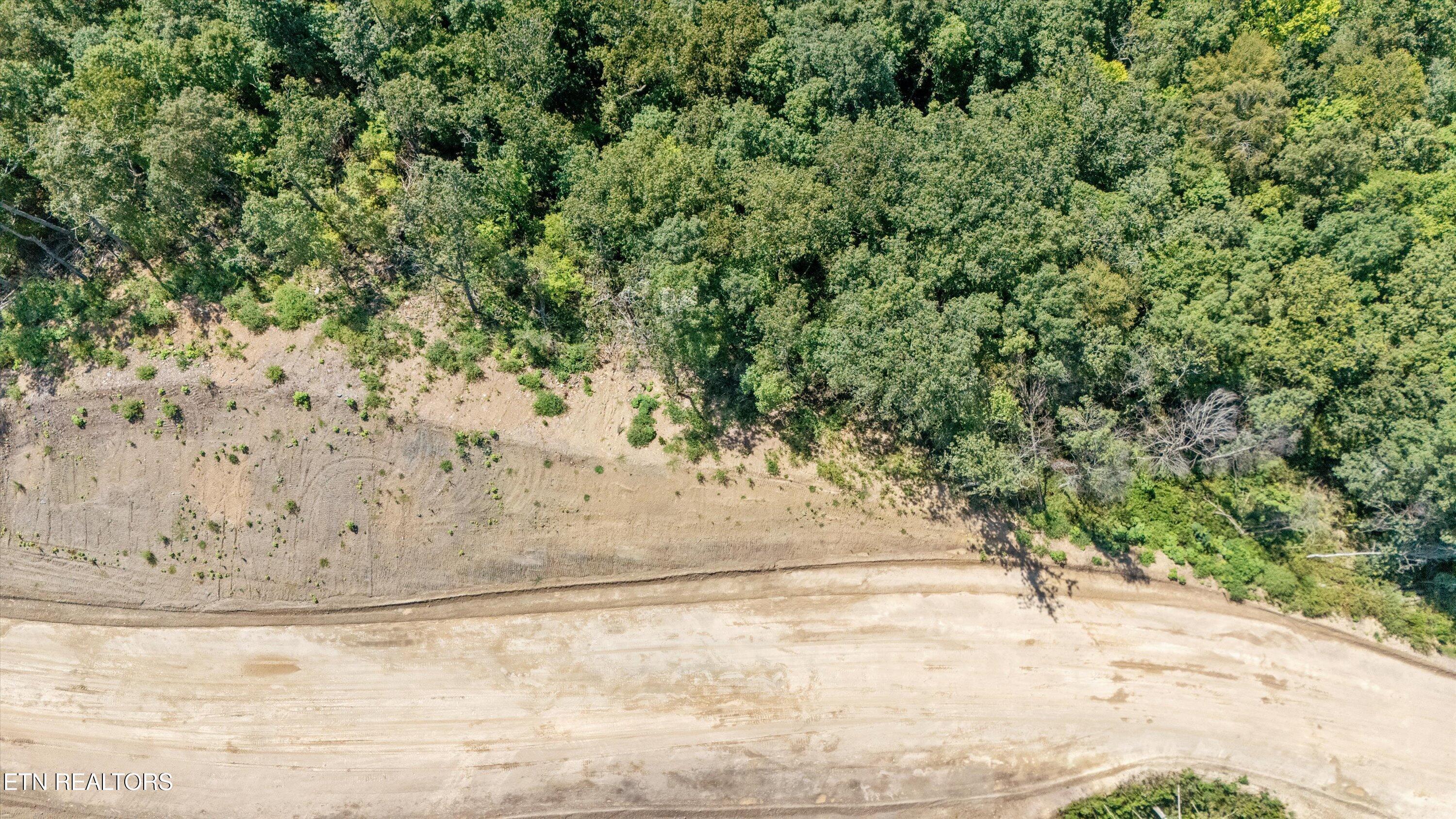 Norris Lake Real Estate - Image# 13