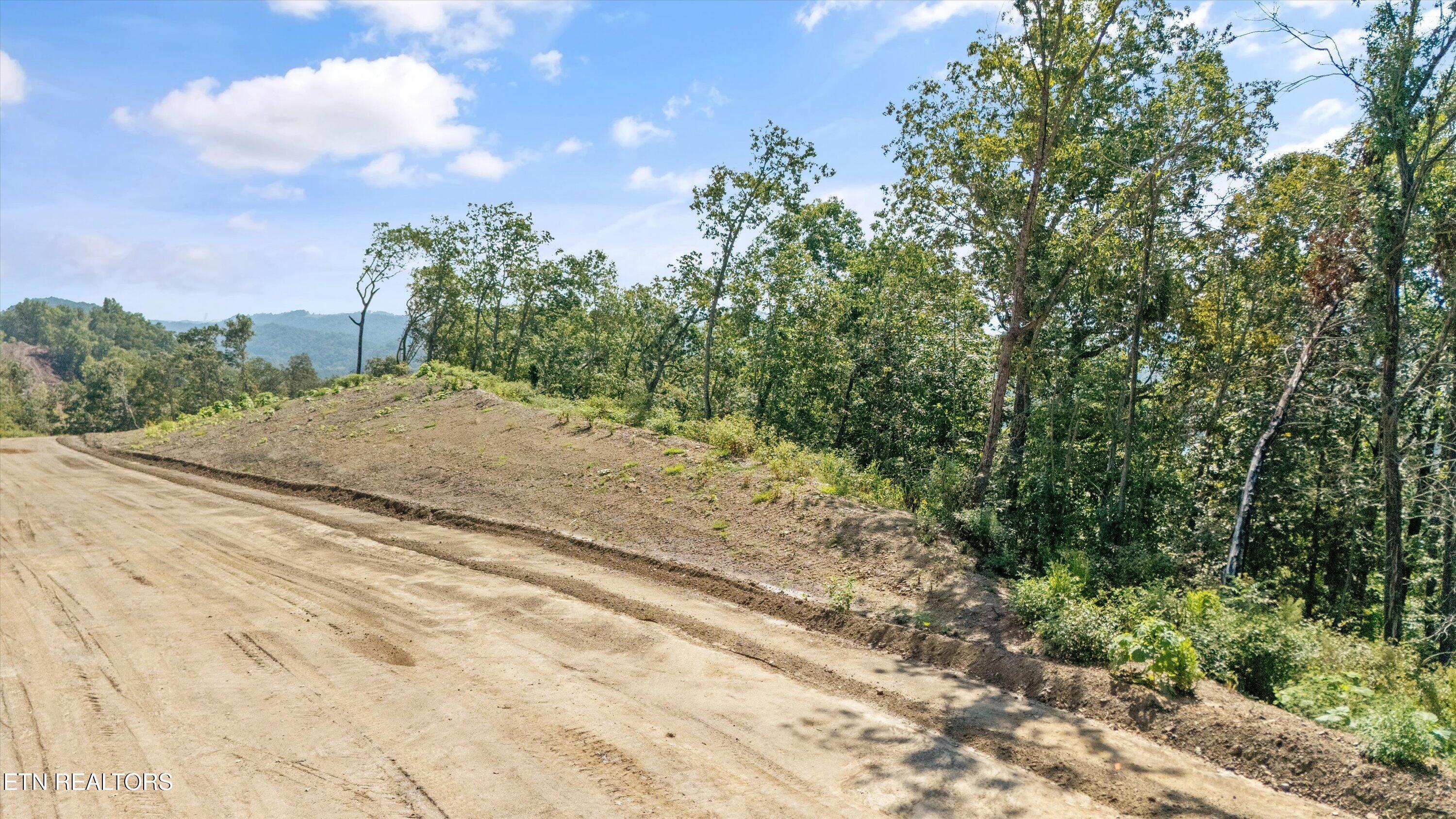 Norris Lake Real Estate - Image# 16