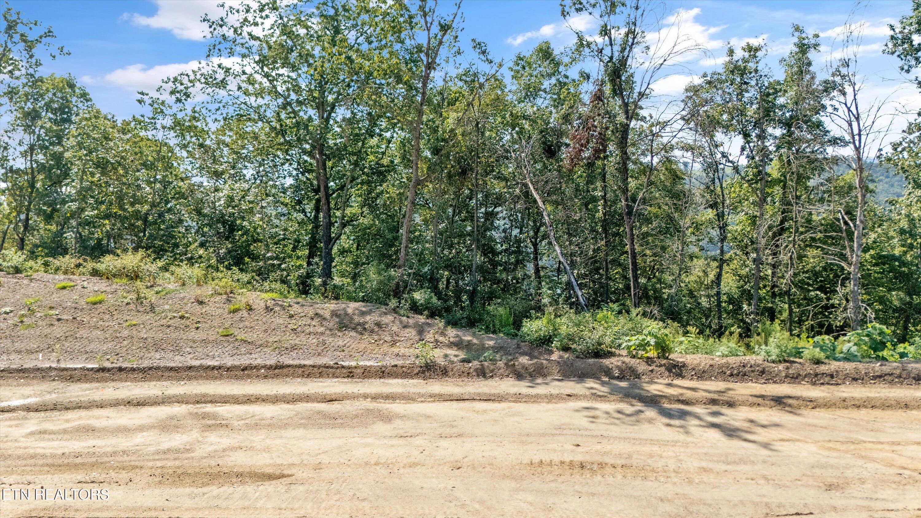 Norris Lake Real Estate - Image# 1