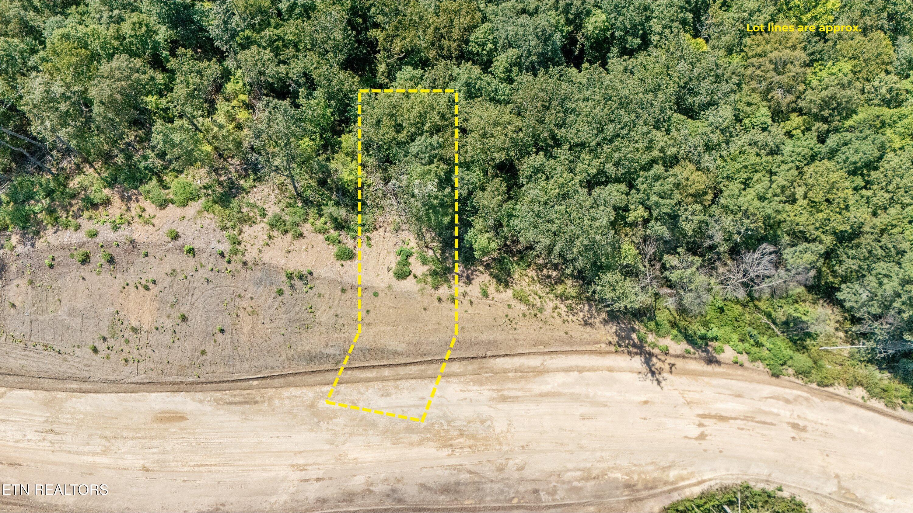 Norris Lake Real Estate - Image# 10