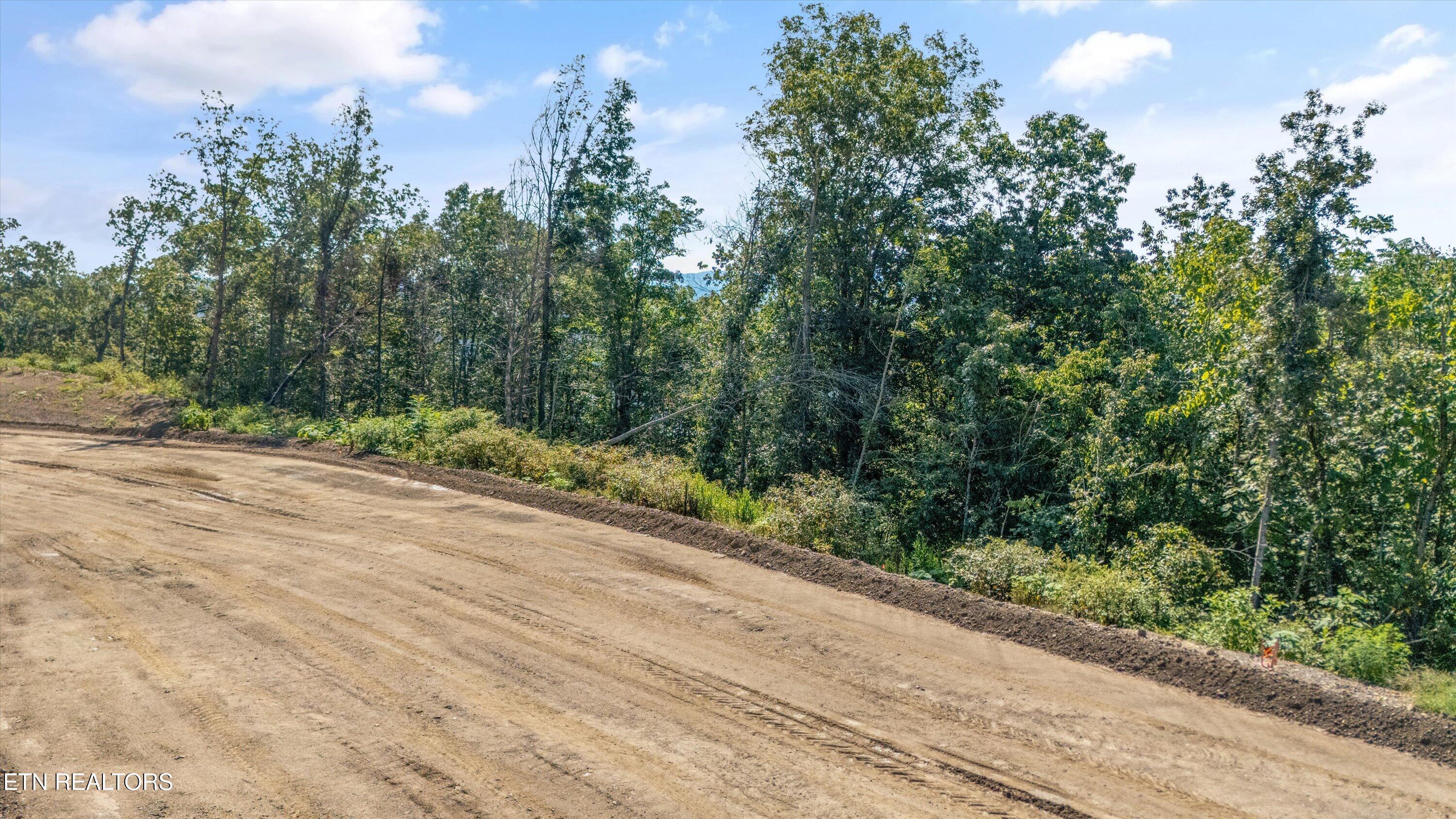Norris Lake Real Estate - Image# 14