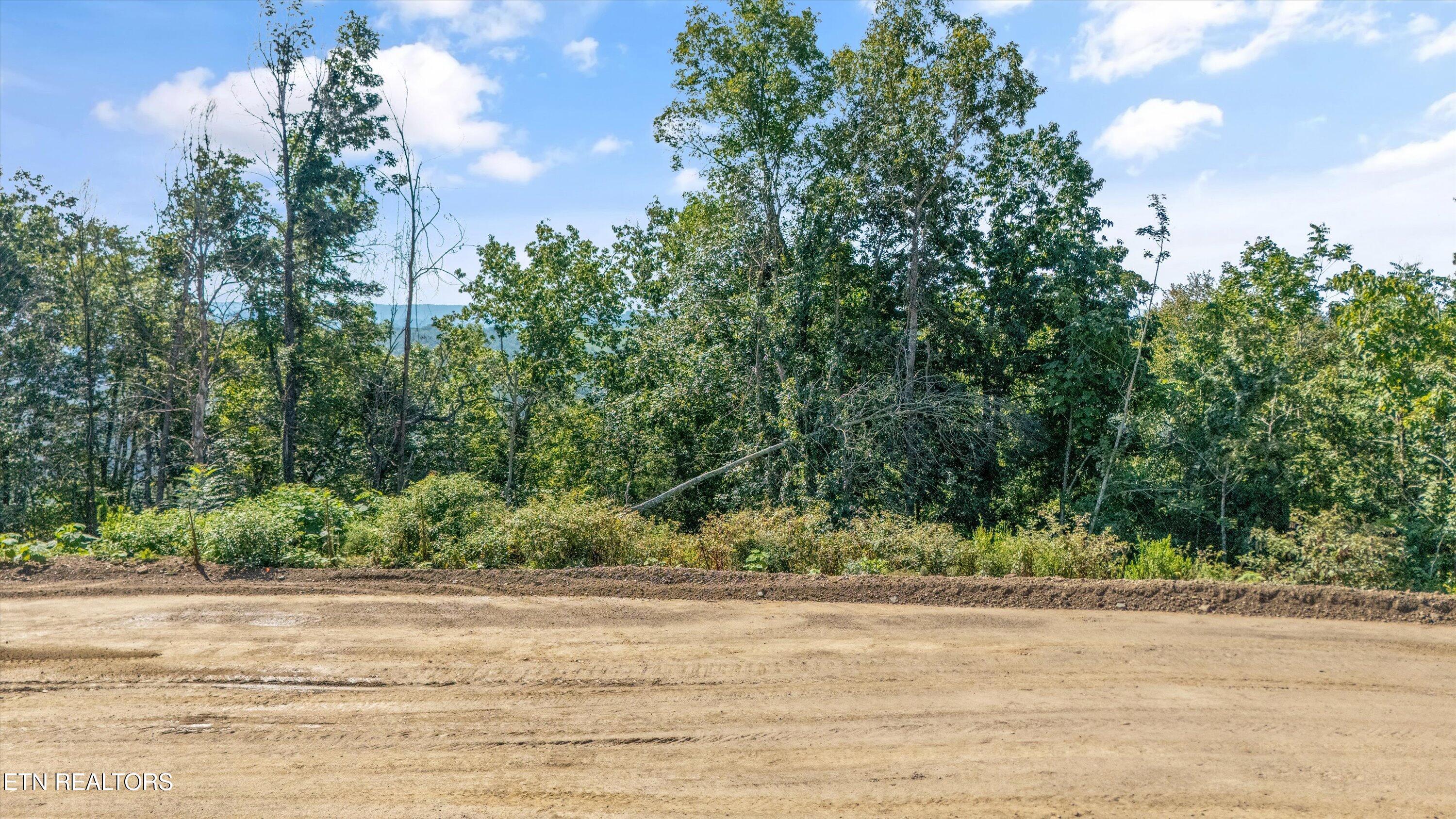 Norris Lake Real Estate - Image# 1