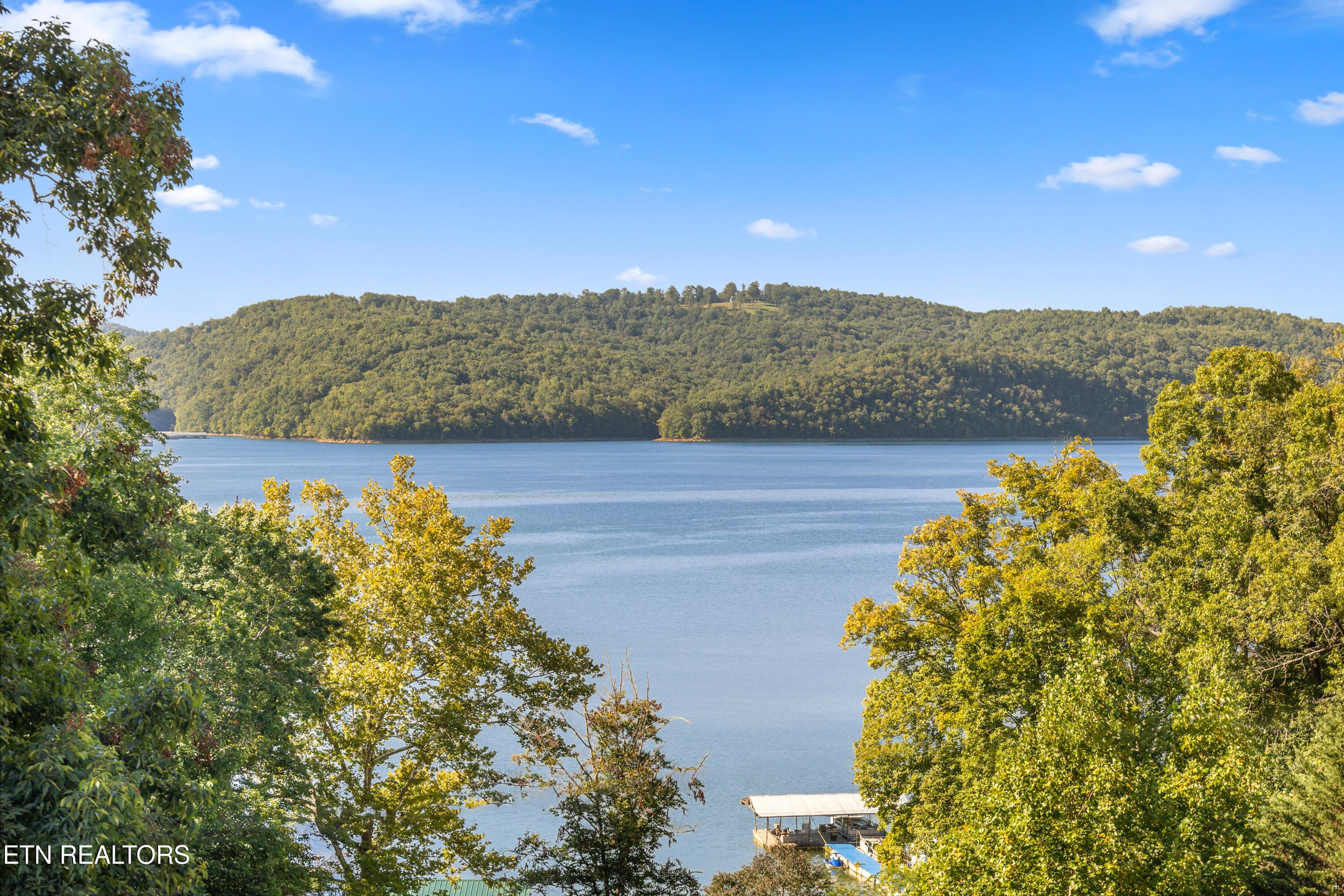 Norris Lake Real Estate - Image# 13