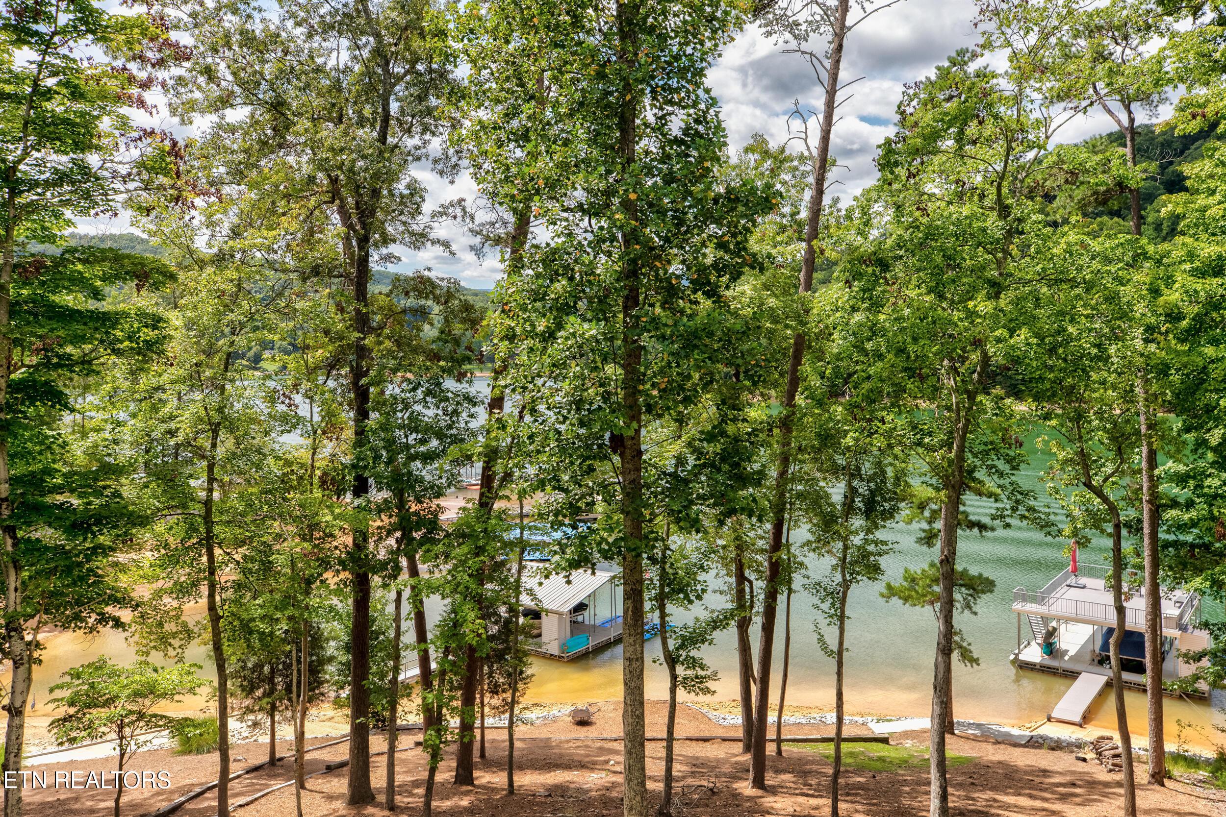 961 Foxridge Lane, Caryville, TN - Norris Lake Real Estate - Image# 59