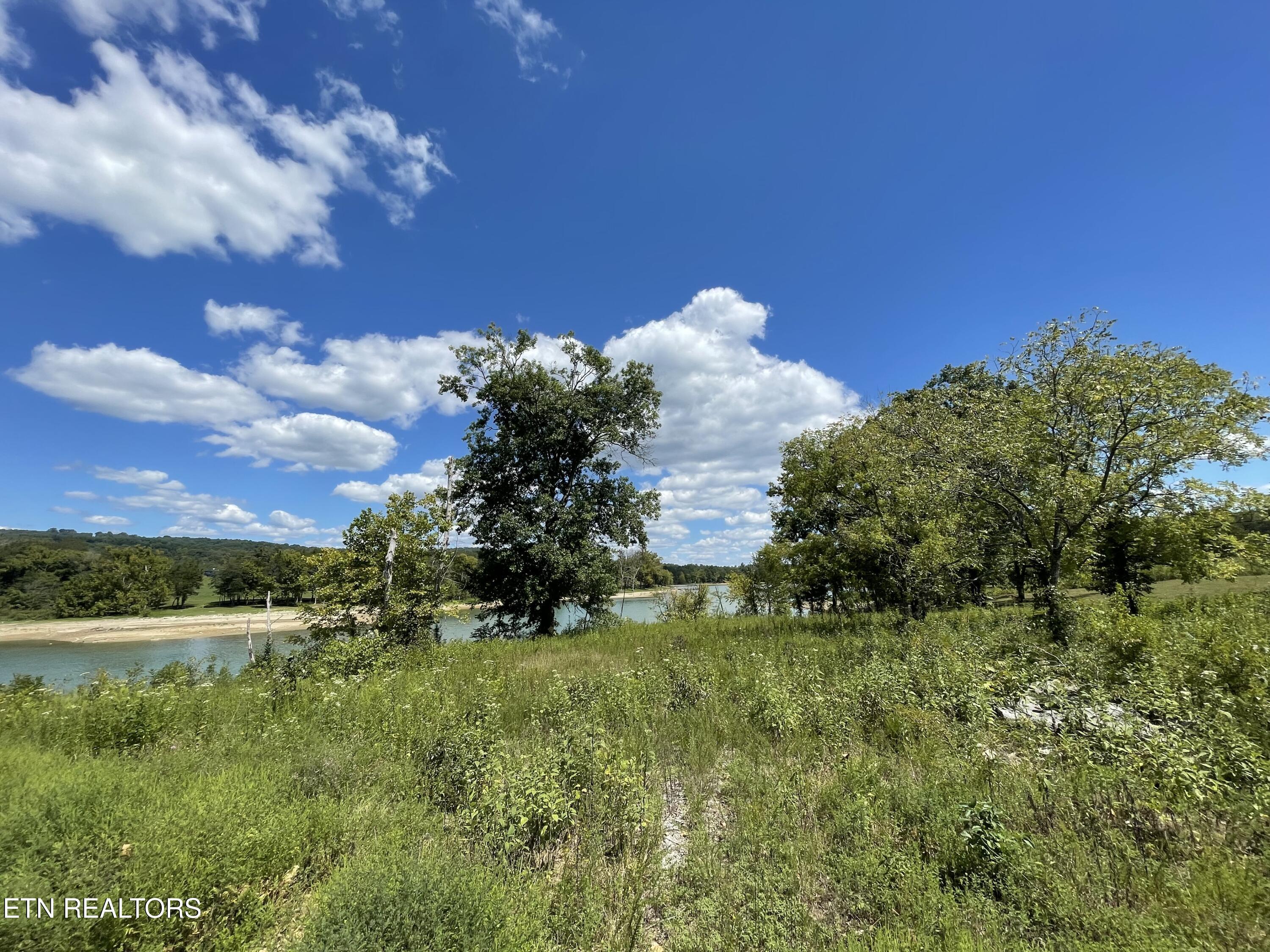 Norris Lake Real Estate - Image# 2