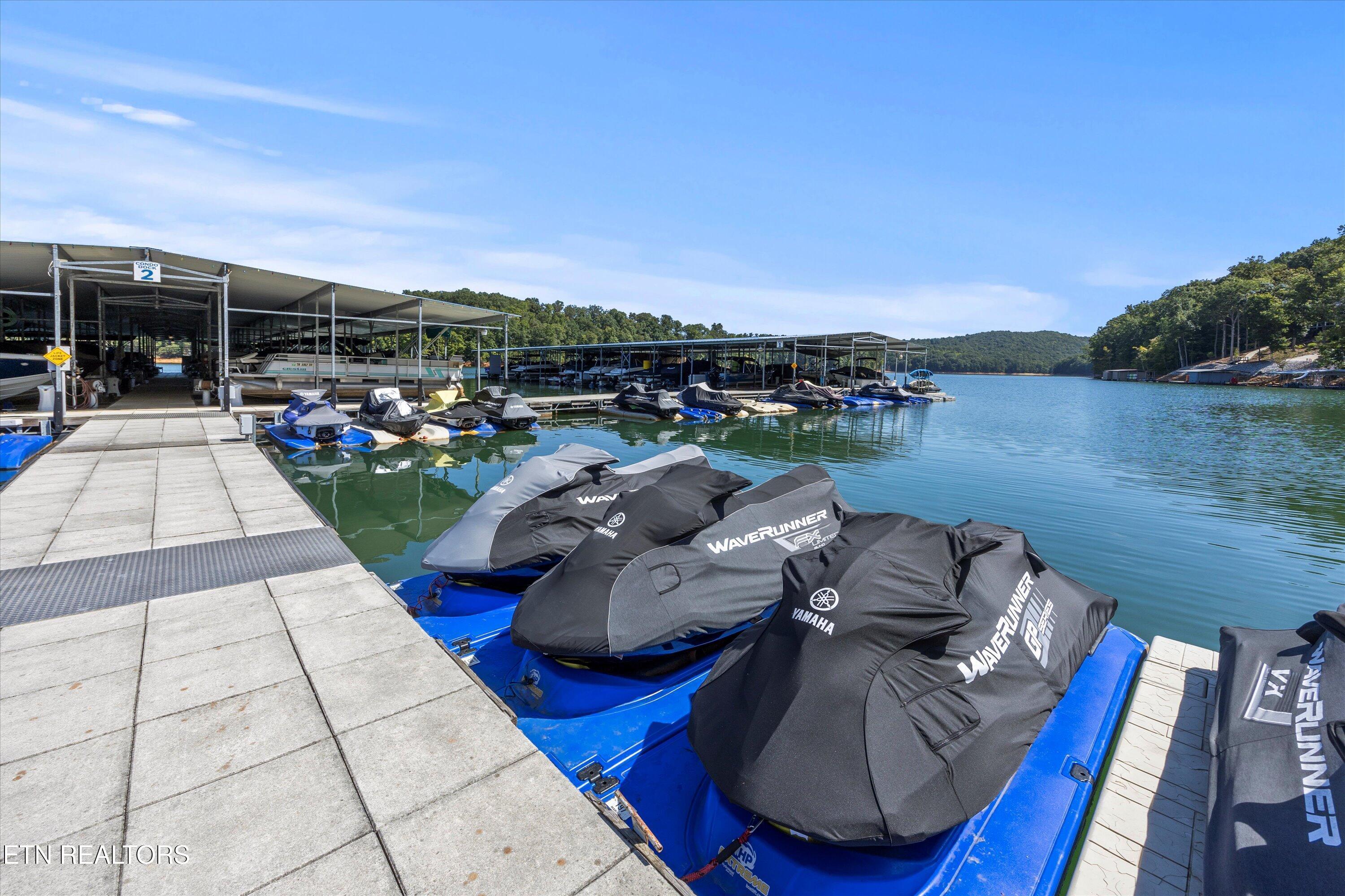 Norris Lake Real Estate - Image# 23