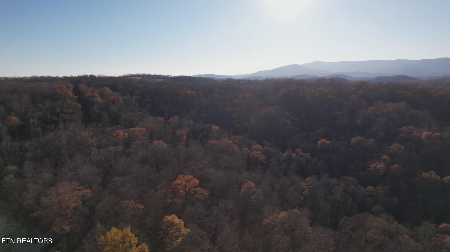 Lot 116 Hiwassee View Drive, Jacksboro, TN - Norris Lake Real Estate - Image# 10