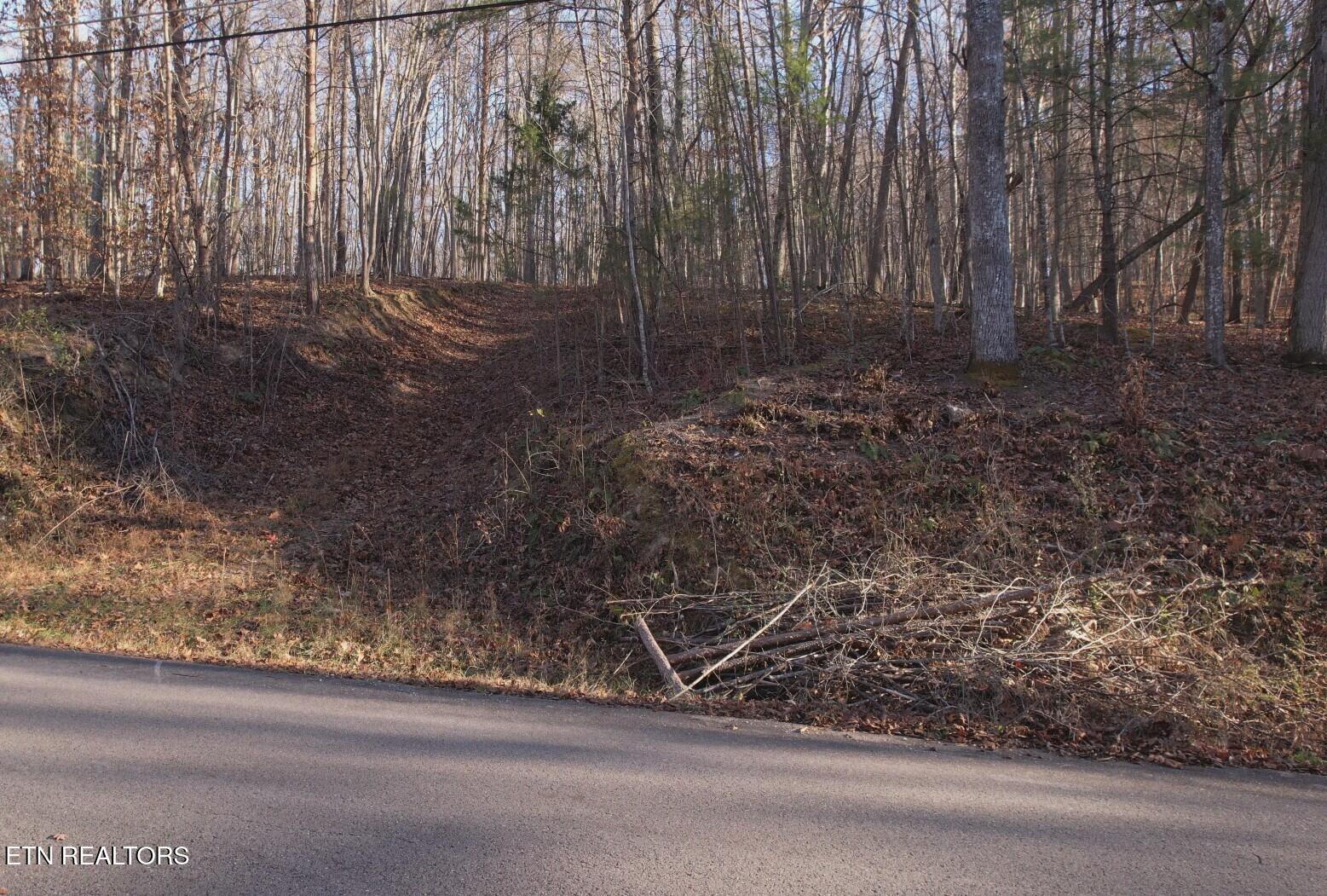 Lot 116 Hiwassee View Drive, Jacksboro, TN - Norris Lake Real Estate - Image# 7