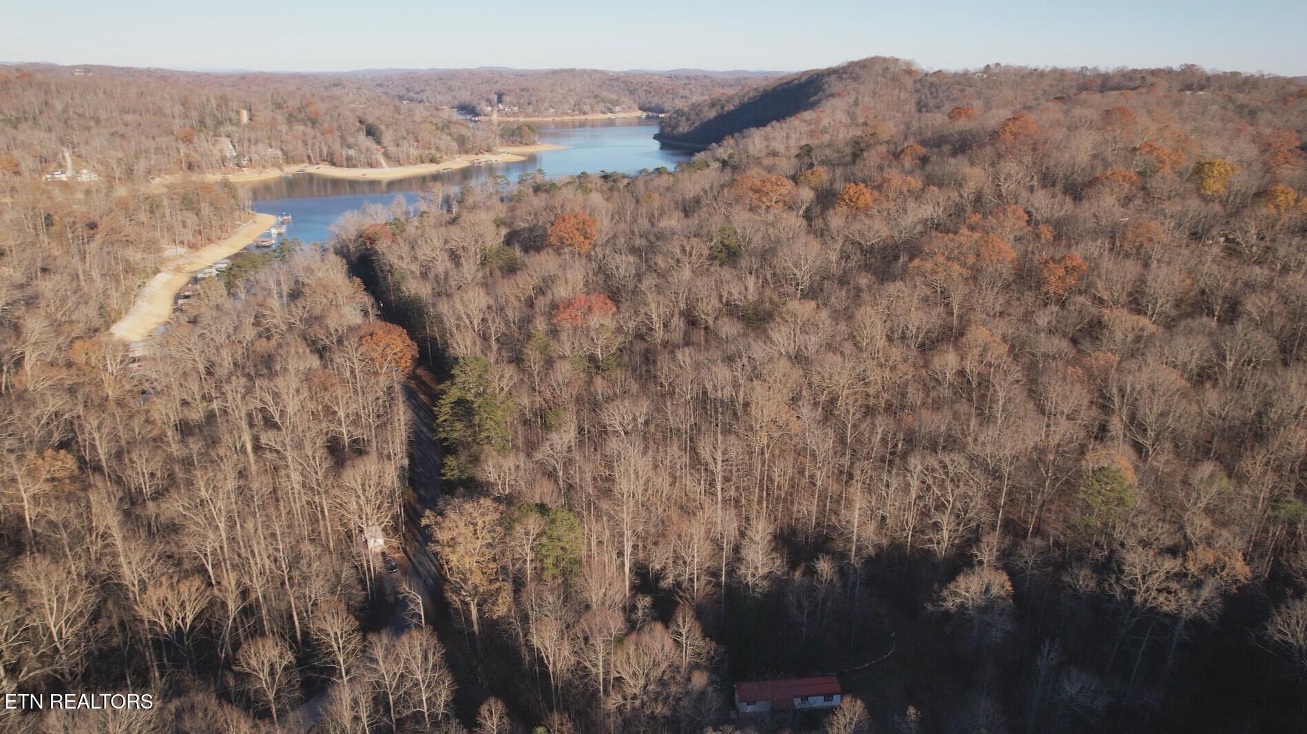 Lot 117 Hiwassee View Drive, Jacksboro, TN - Norris Lake Real Estate - Image# 3