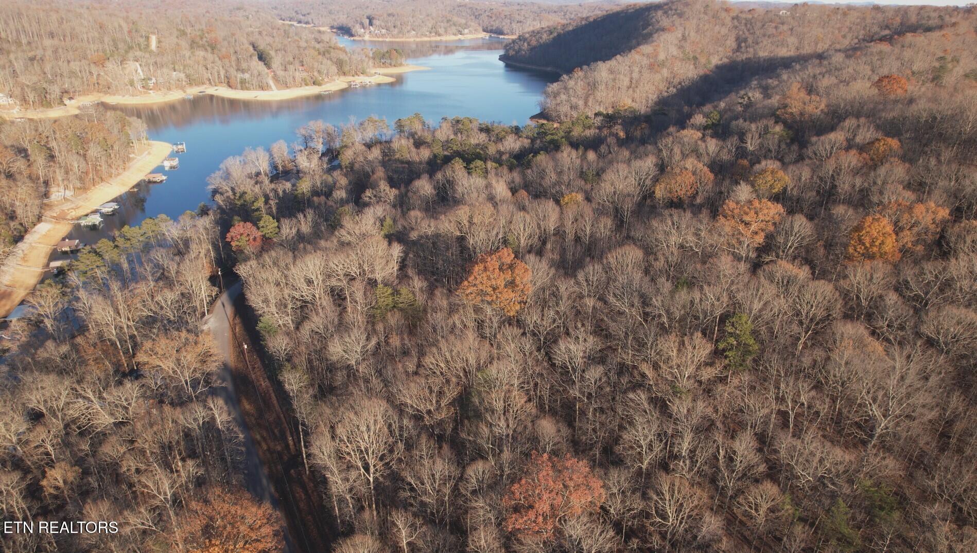 Lot 118 Hiwassee View Drive, Jacksboro, TN - Norris Lake Real Estate - Image# 3