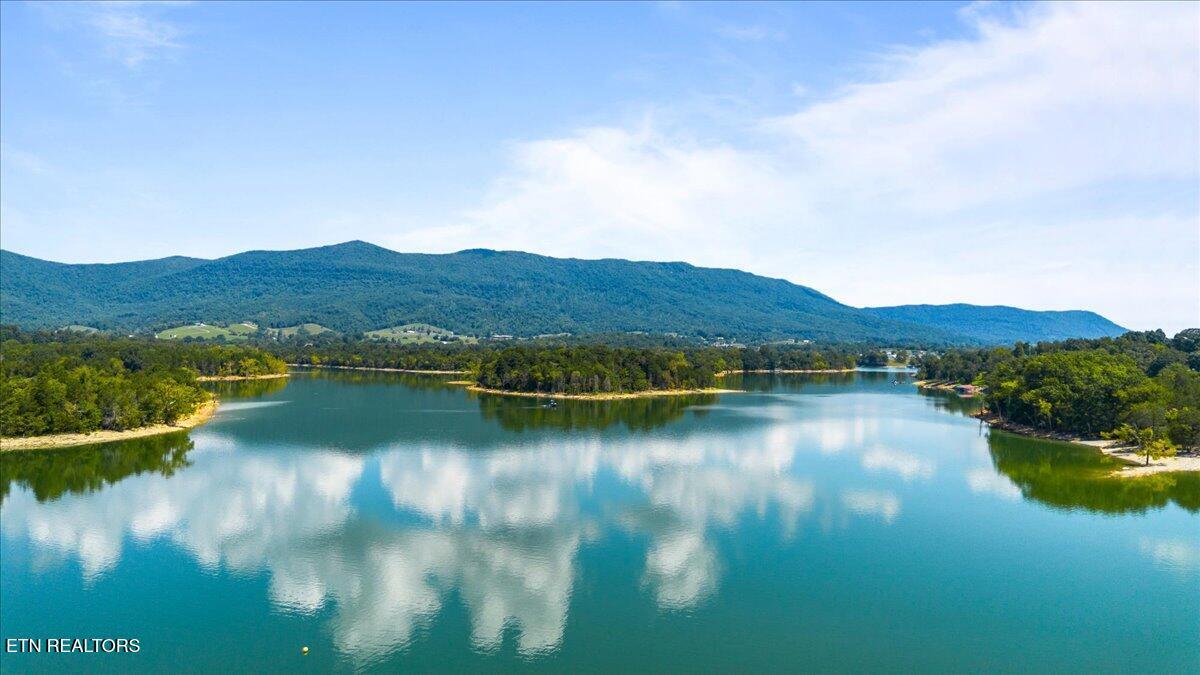 Norris Lake Real Estate - Image# 7